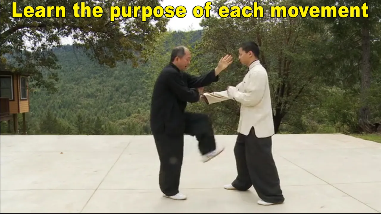 Yang Tai Chi for Beginners 2&3 | Indus Appstore | Screenshot