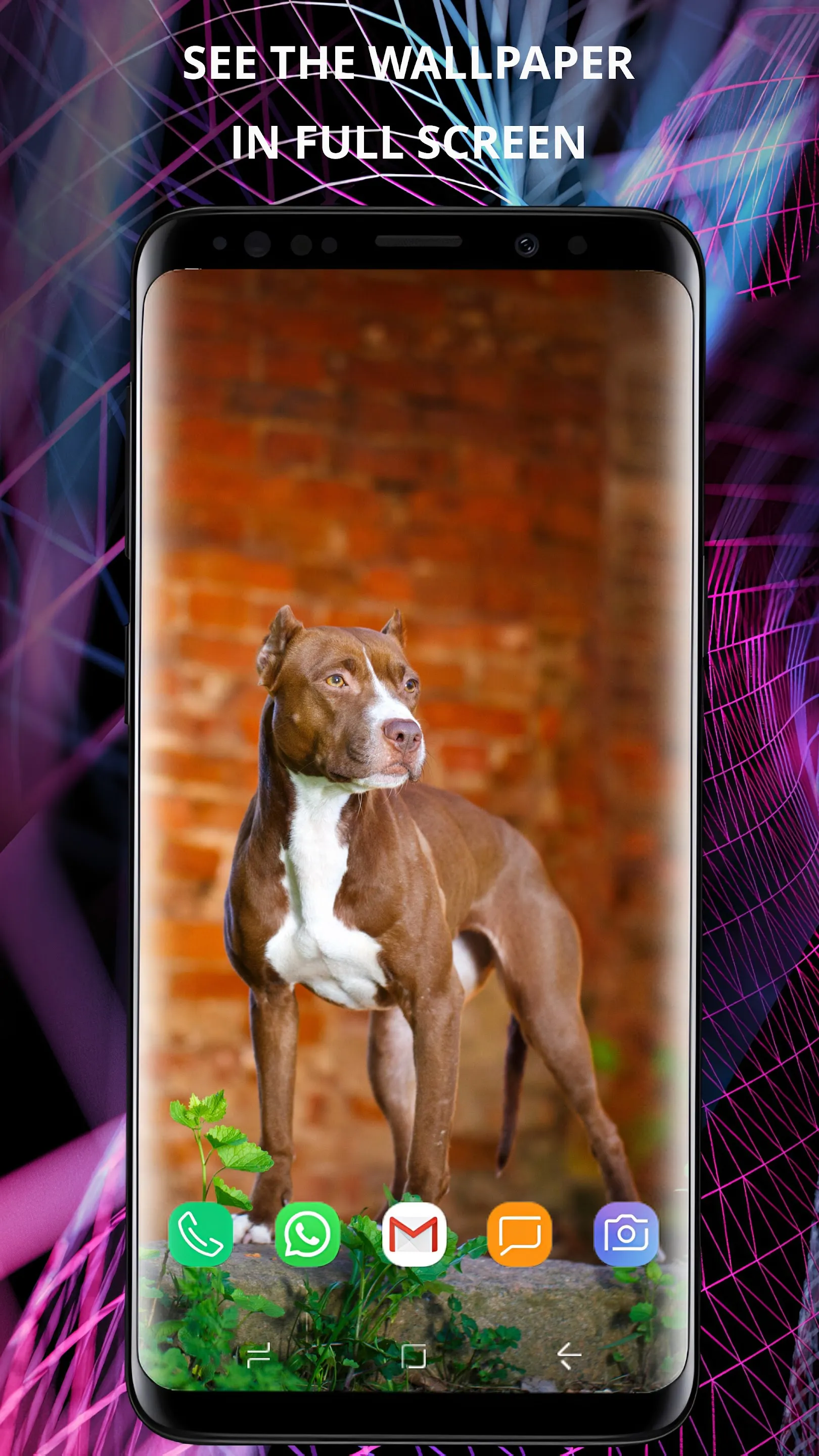 Dogs wallpapers for phone | Indus Appstore | Screenshot