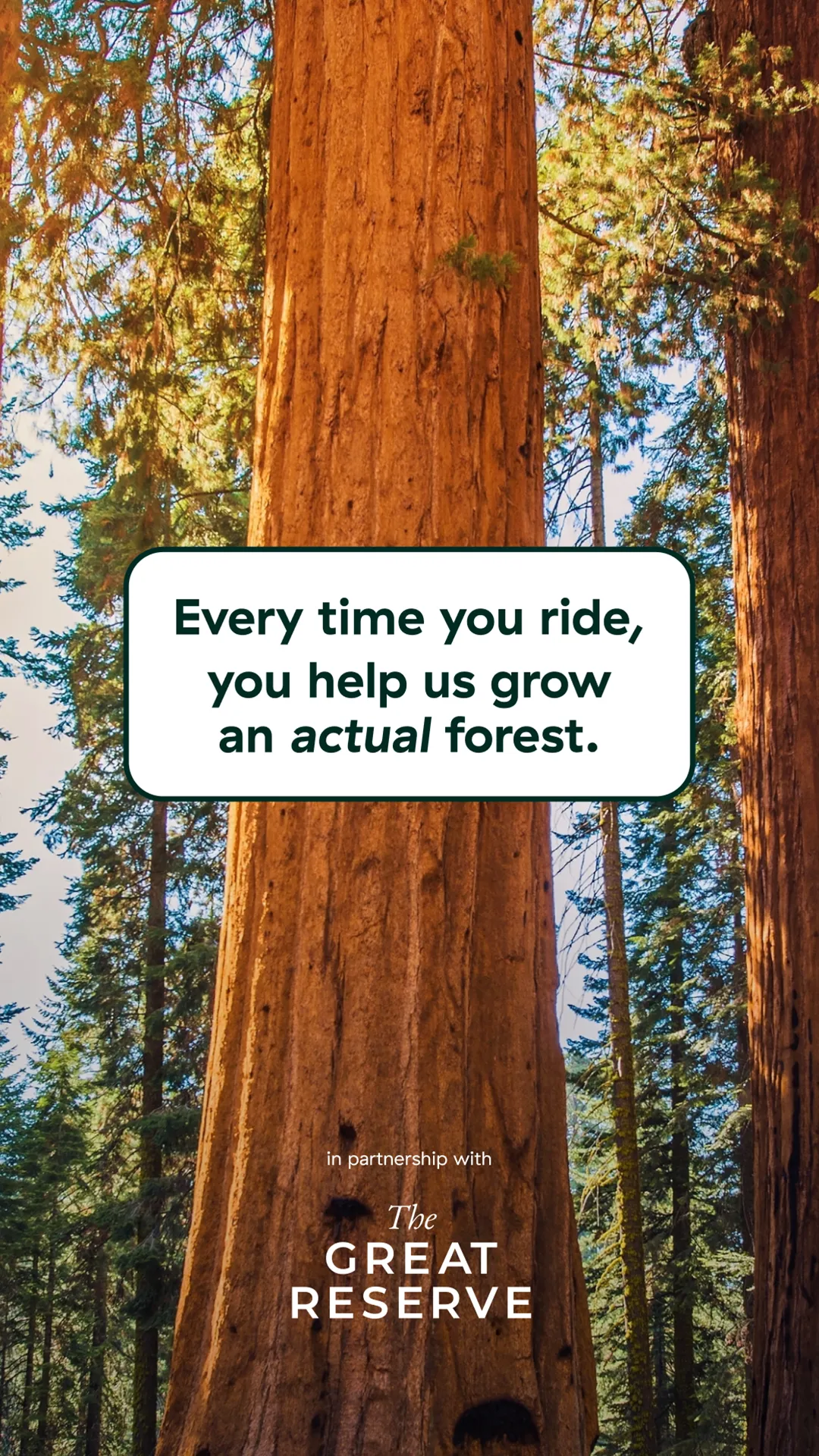 Forest - eBike Sharing | Indus Appstore | Screenshot