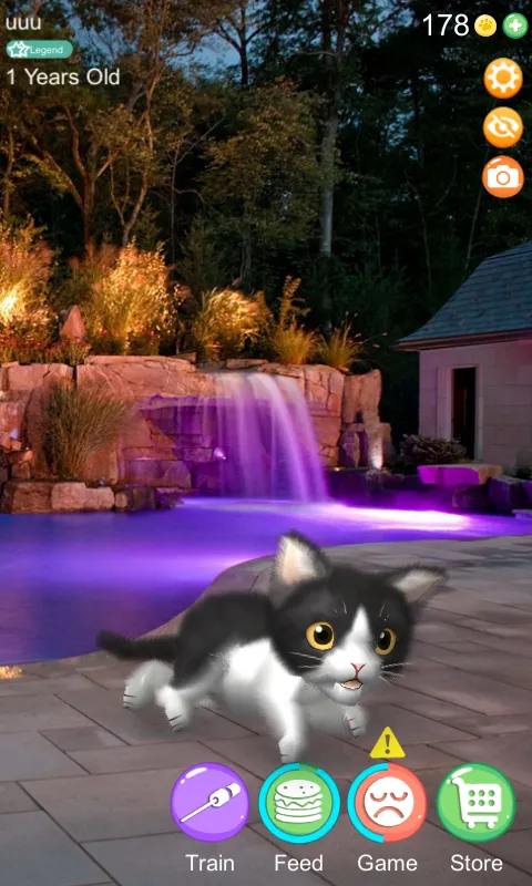 AR Cat | Indus Appstore | Screenshot