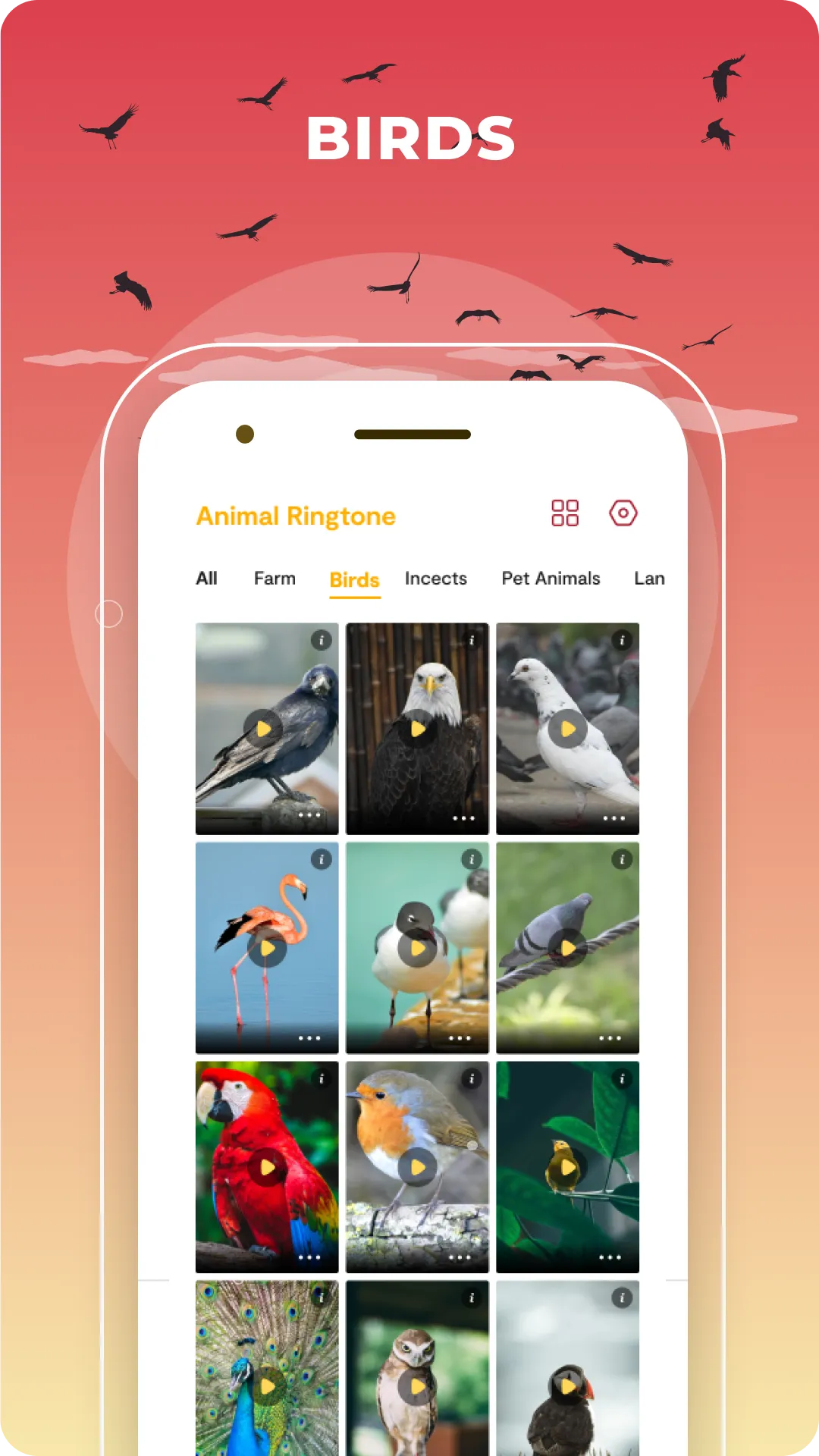 Animal Ringtones: Bird Sounds | Indus Appstore | Screenshot