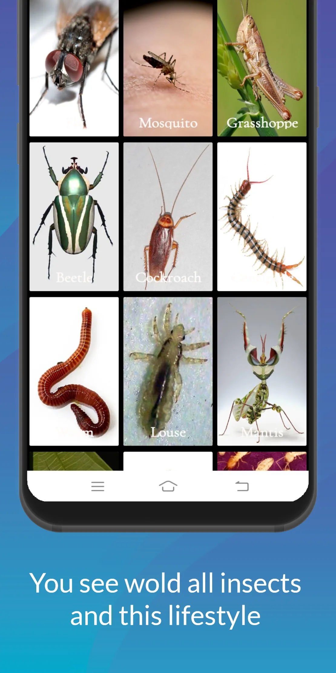 Animals  Information | Indus Appstore | Screenshot