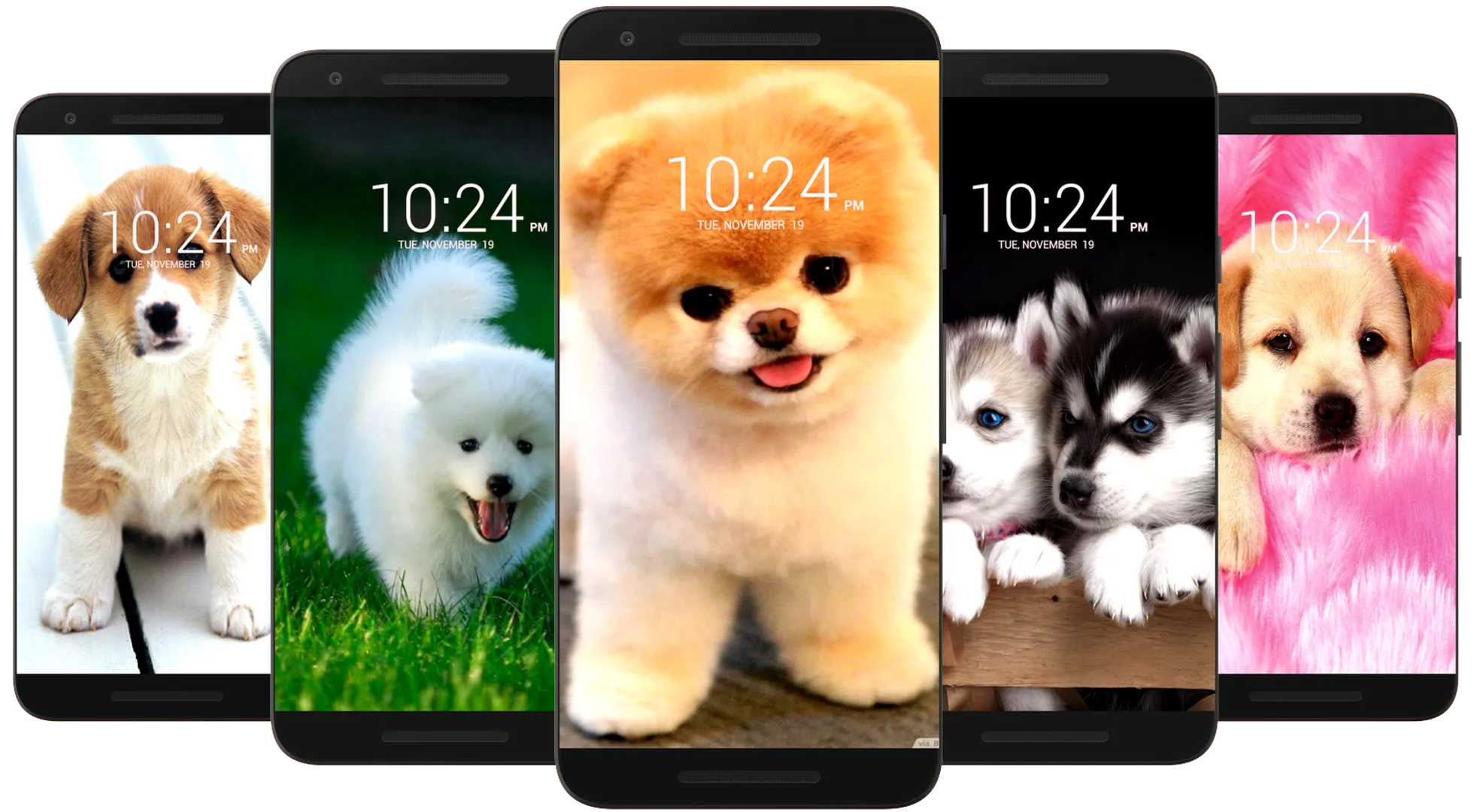 Dog Wallpaper HD | Indus Appstore | Screenshot