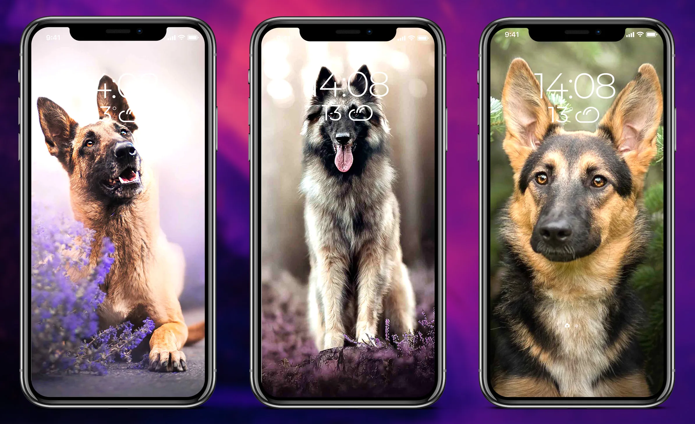 German Shepherd Wallpapers | Indus Appstore | Screenshot