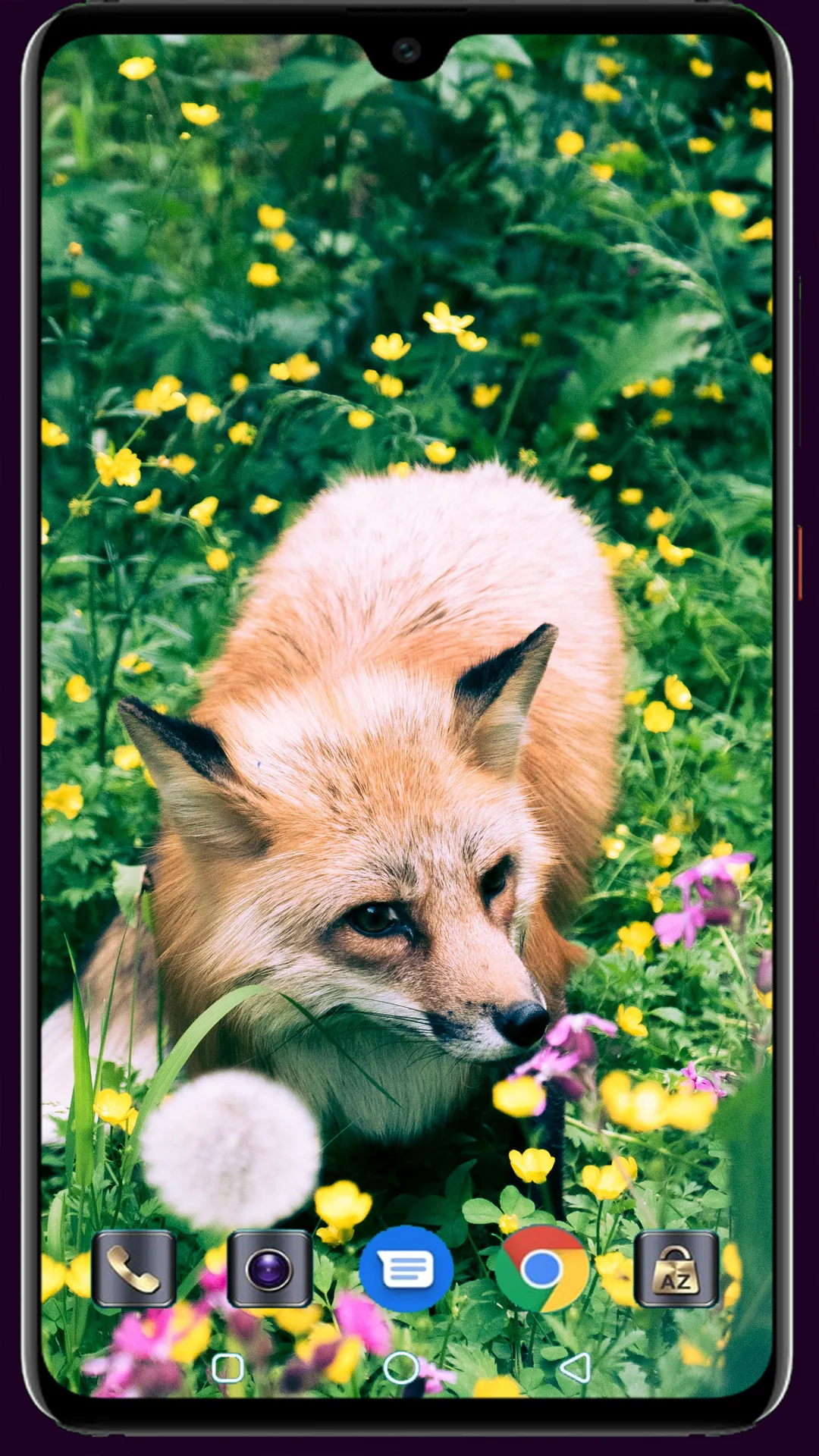 Fox Wallpaper | Indus Appstore | Screenshot