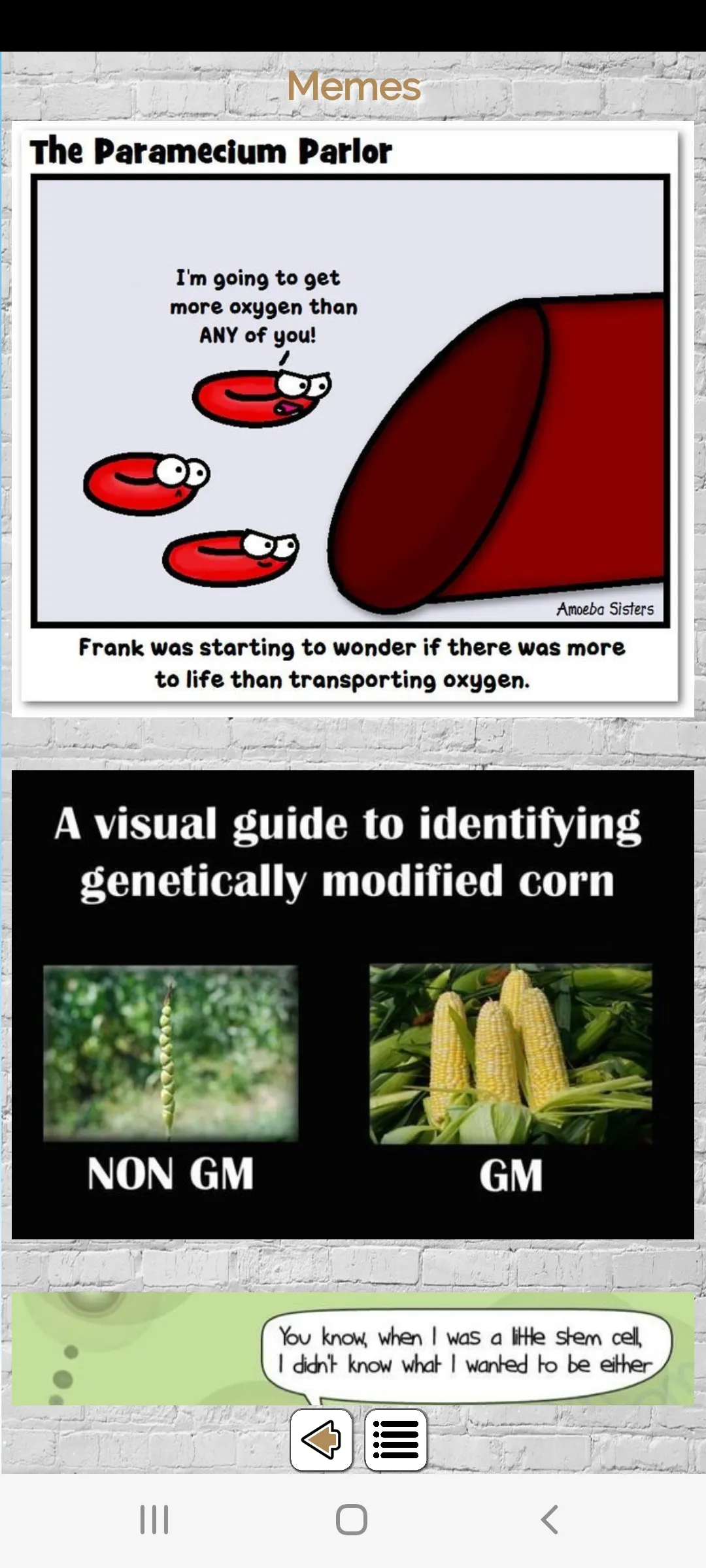 Biology - Lectures | Indus Appstore | Screenshot