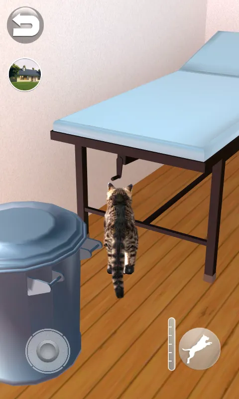 Talking Reality Cat | Indus Appstore | Screenshot