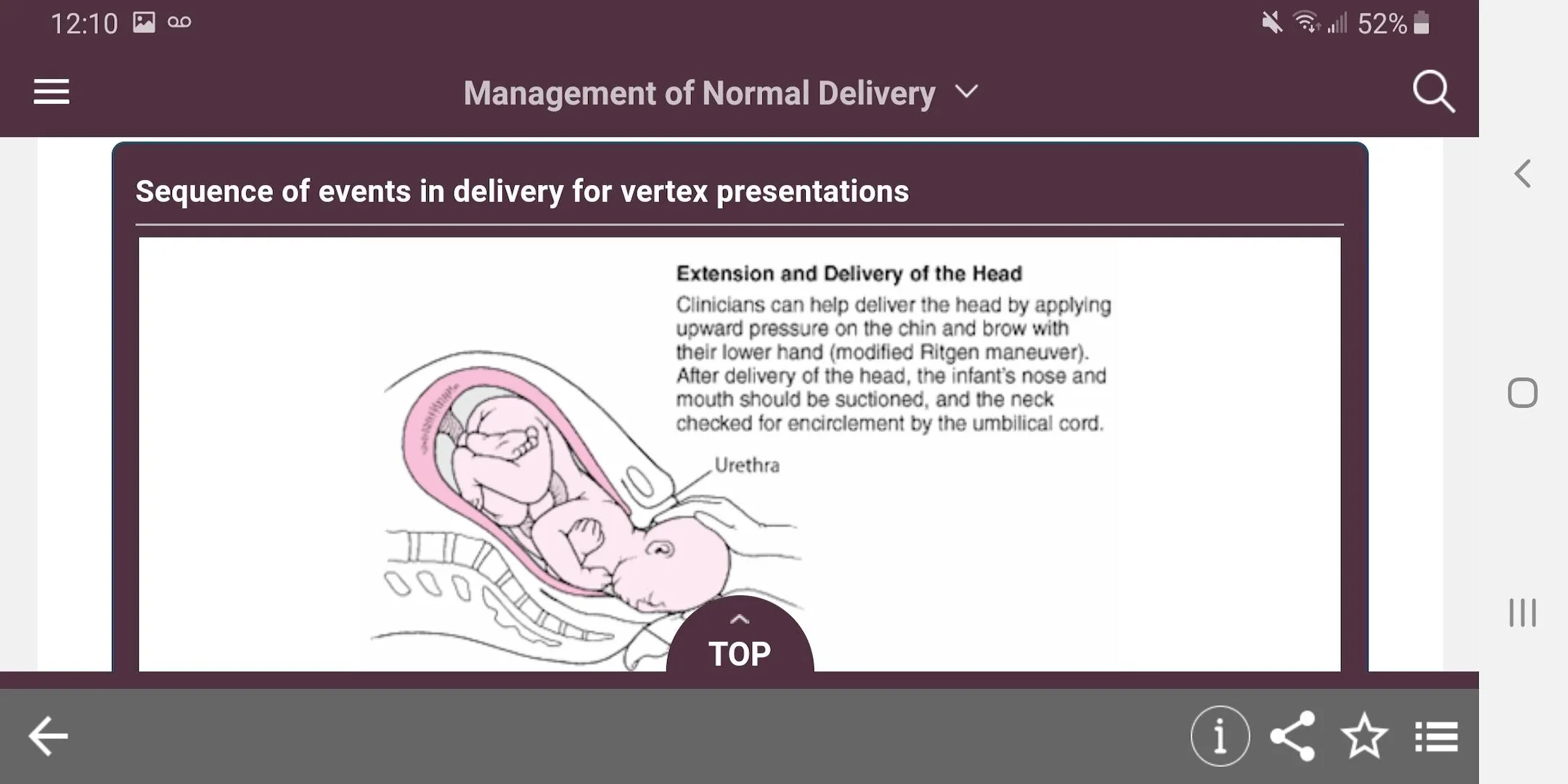 MSD Manual Guide to Obstetrics | Indus Appstore | Screenshot