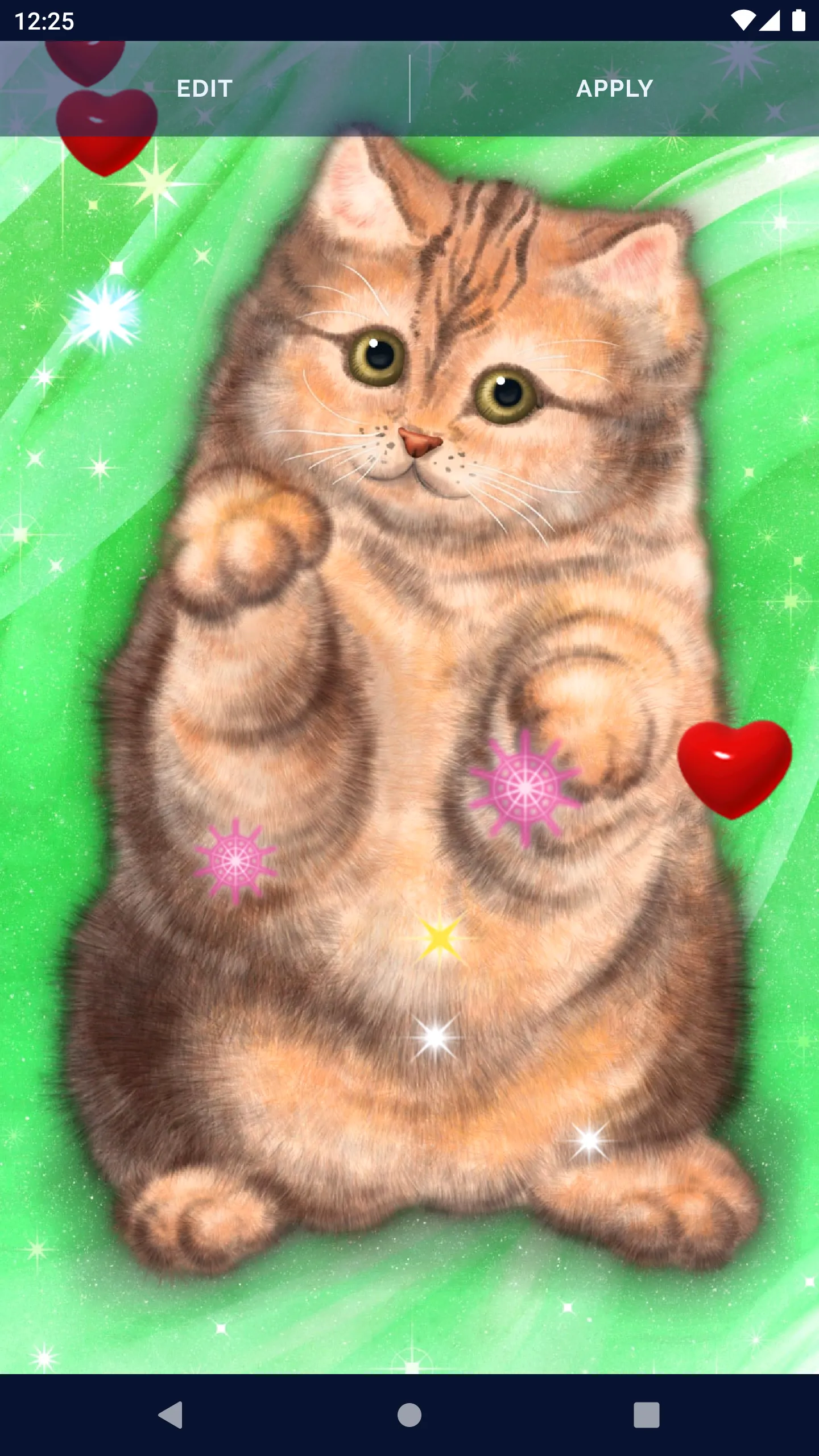 Cute Fluffy Cat Live Wallpaper | Indus Appstore | Screenshot