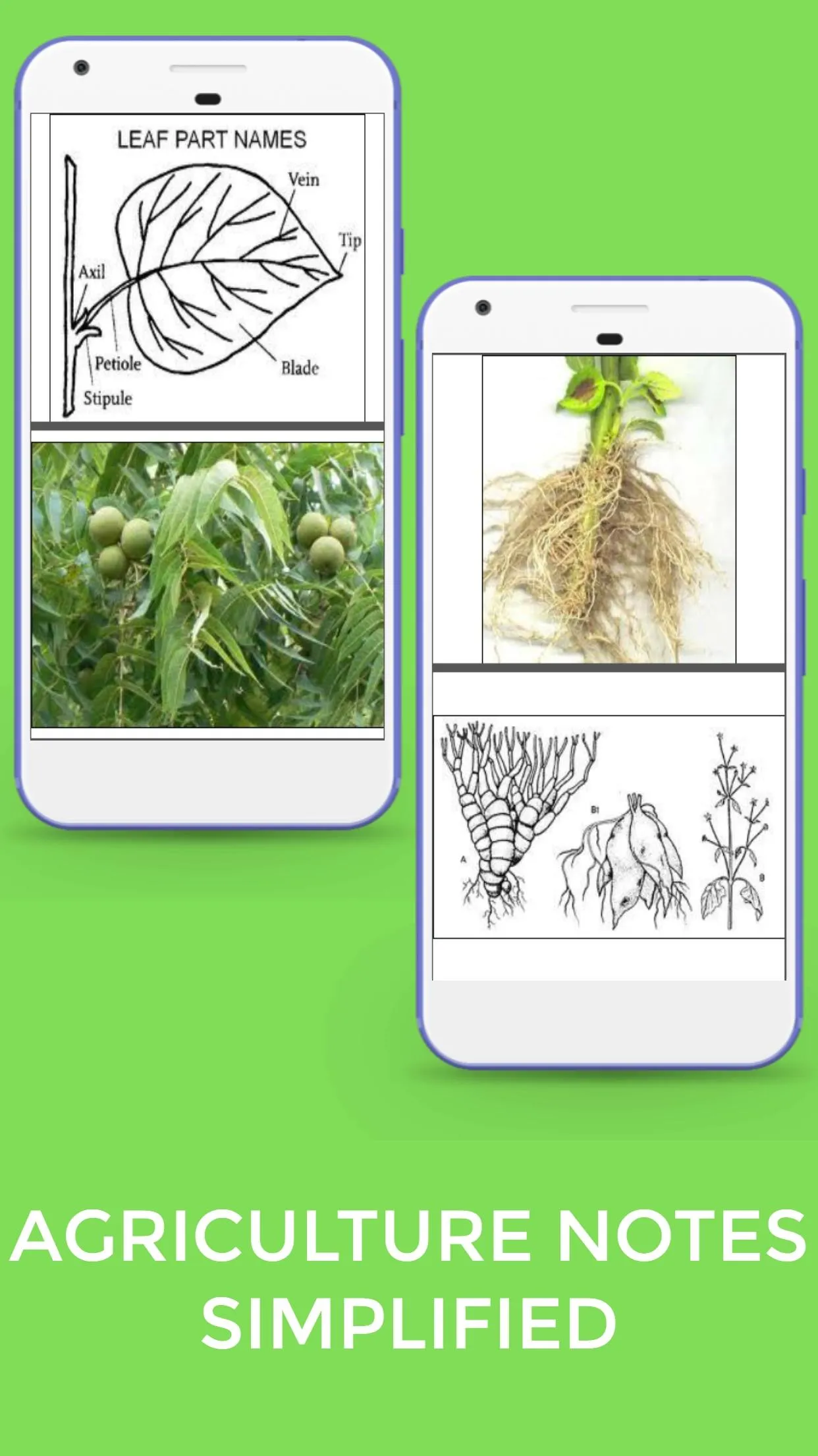 Agricultures Notes Form 1-4 | Indus Appstore | Screenshot