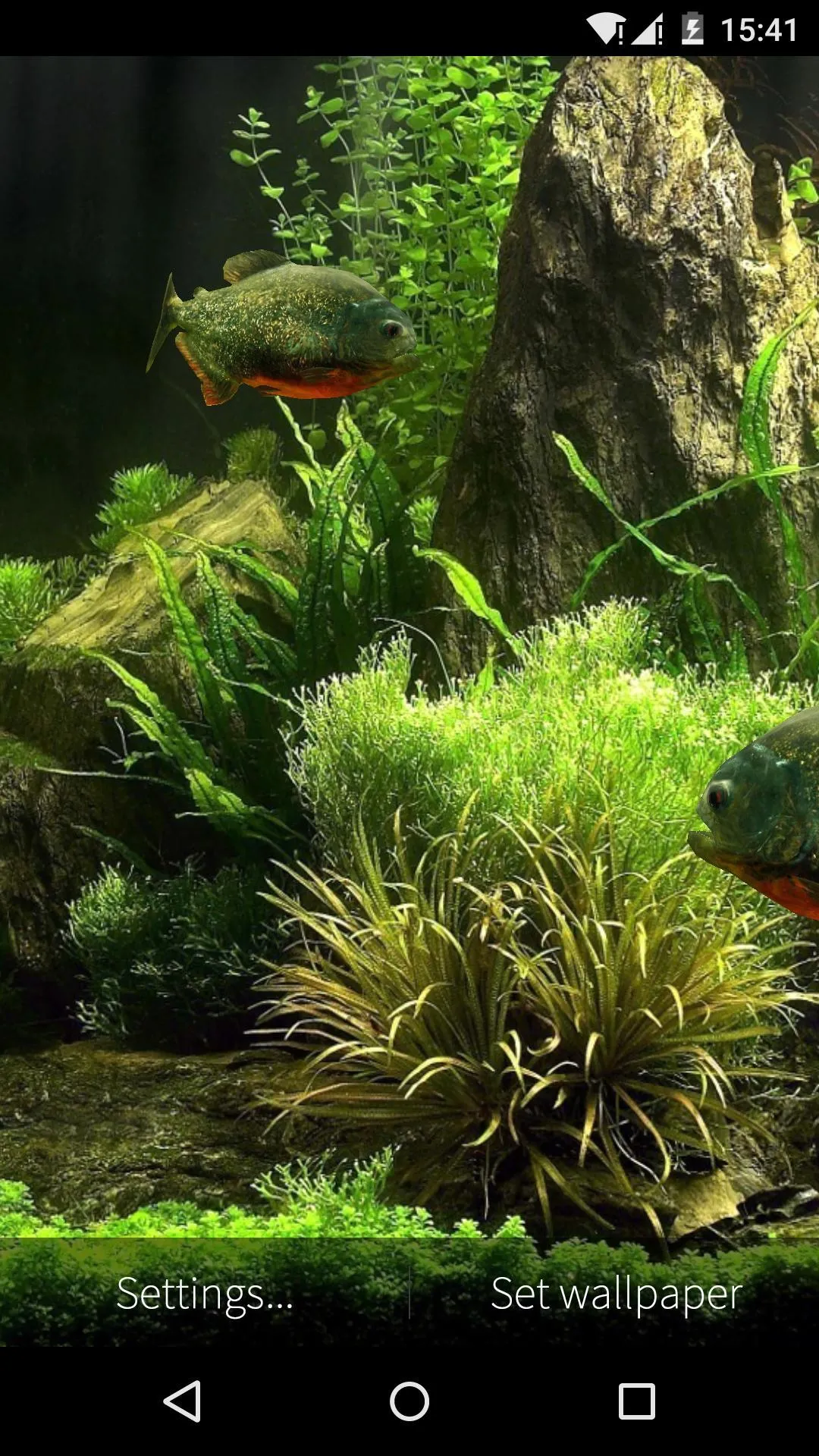 3D Fish Aquarium Wallpaper HD | Indus Appstore | Screenshot