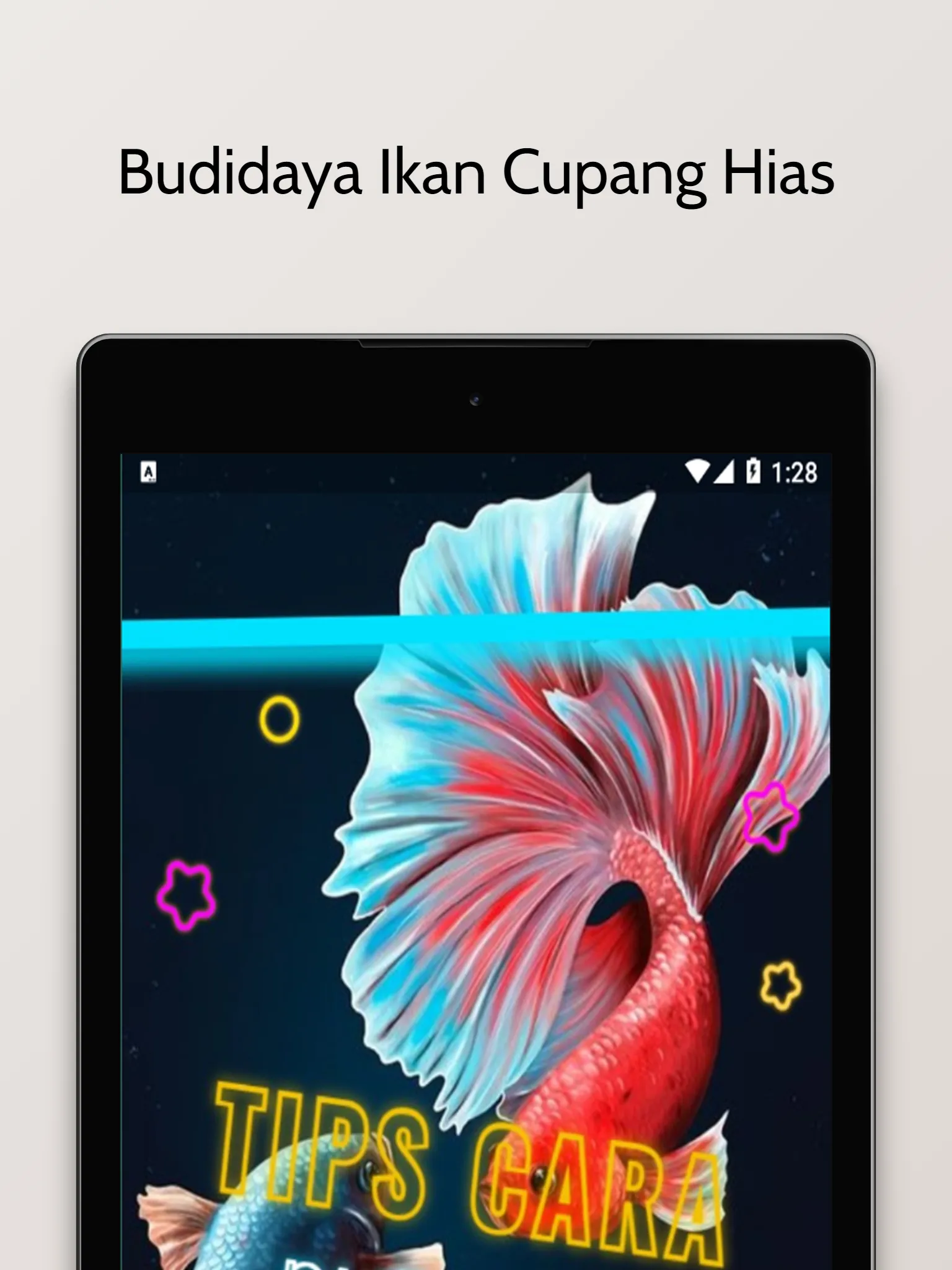 Budidaya Ikan Cupang Hias | Indus Appstore | Screenshot