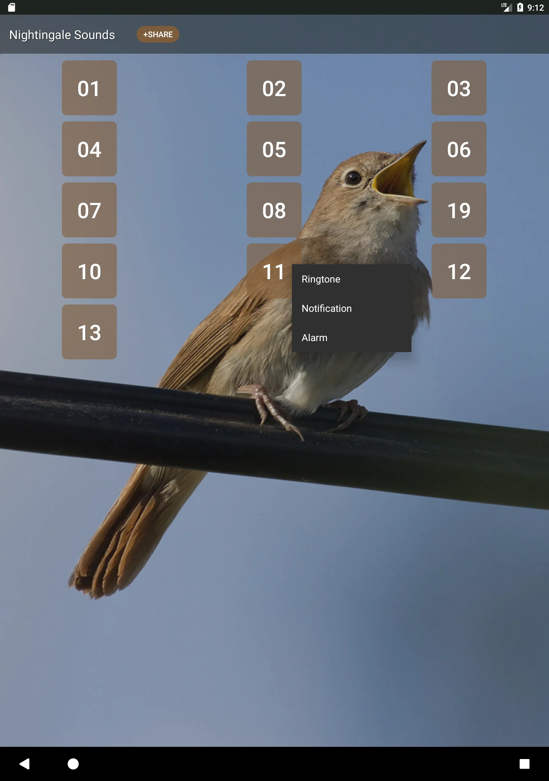 Nightingale Bird Sounds | Indus Appstore | Screenshot