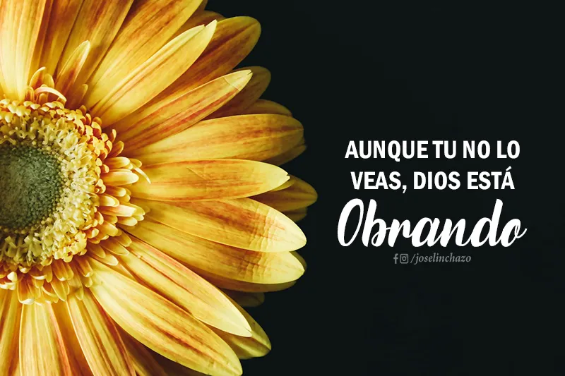 Frases Cristianas con Imagen | Indus Appstore | Screenshot