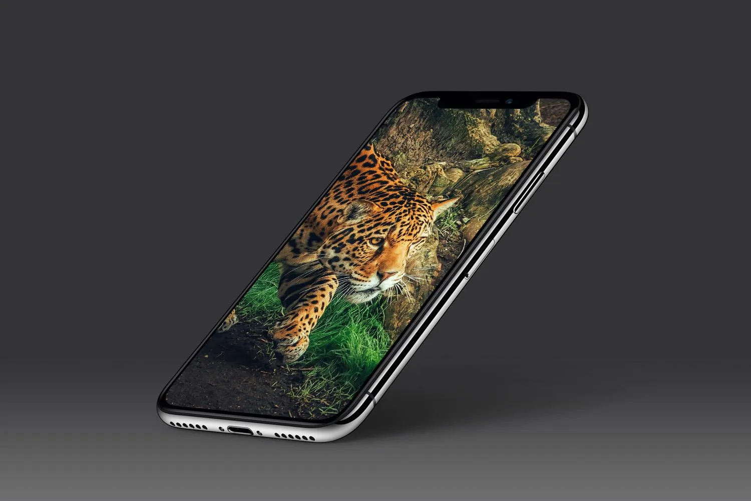 Leopard Wallpaper | Indus Appstore | Screenshot