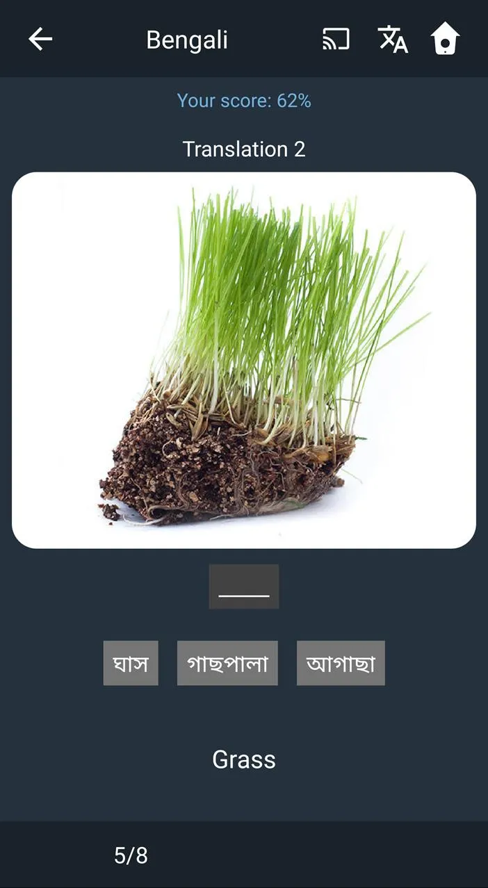 Learn Bengali. Speak Bengali.  | Indus Appstore | Screenshot