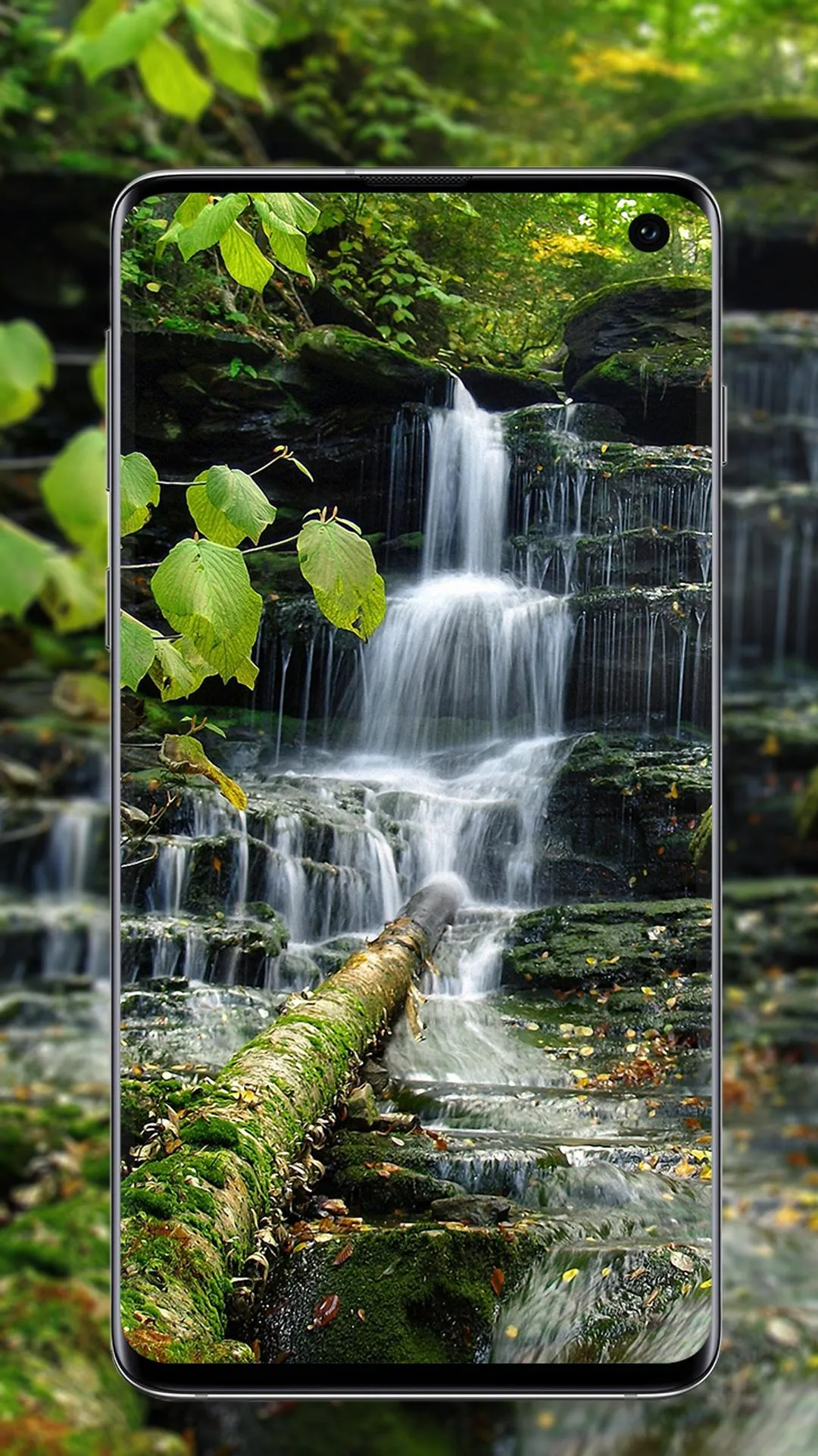 nature wallpaper | Indus Appstore | Screenshot