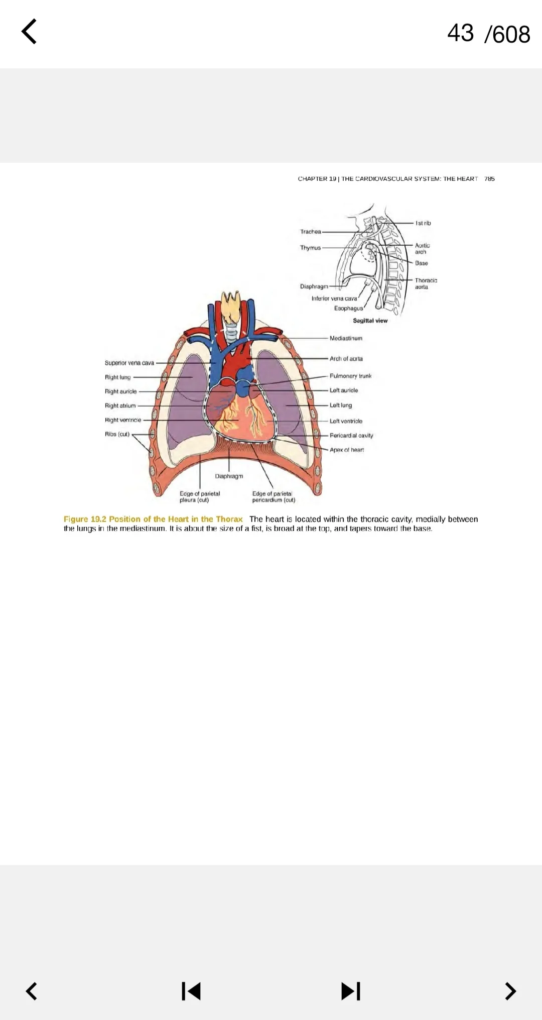 Book Anatomy and physiology | Indus Appstore | Screenshot