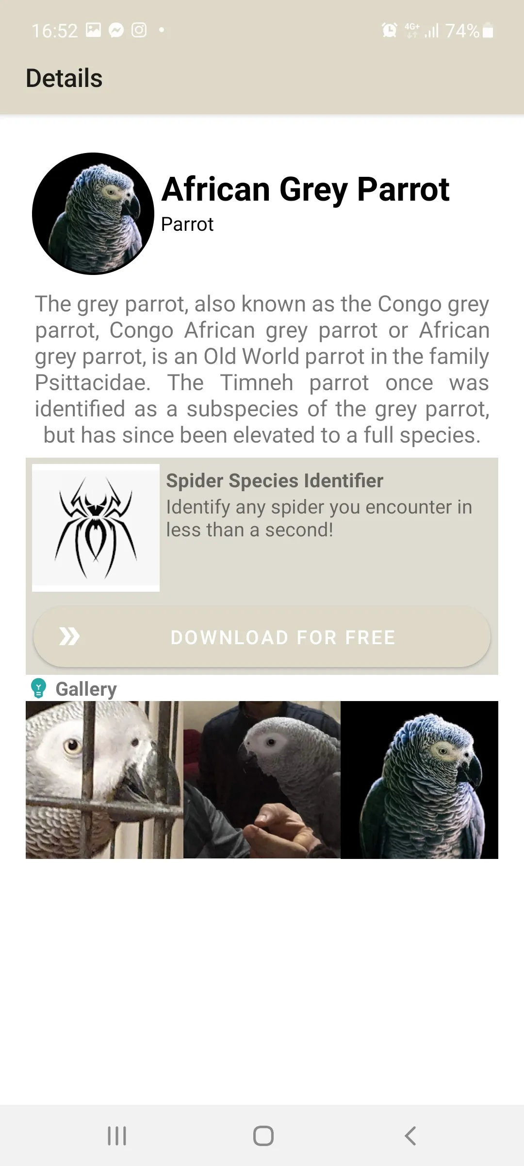 Animal Identifier | Indus Appstore | Screenshot