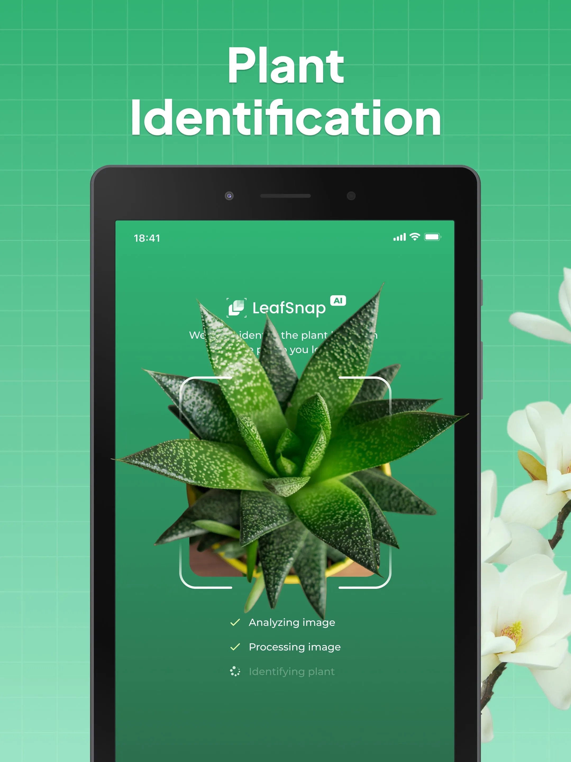 LeafSnap Plant Identification | Indus Appstore | Screenshot