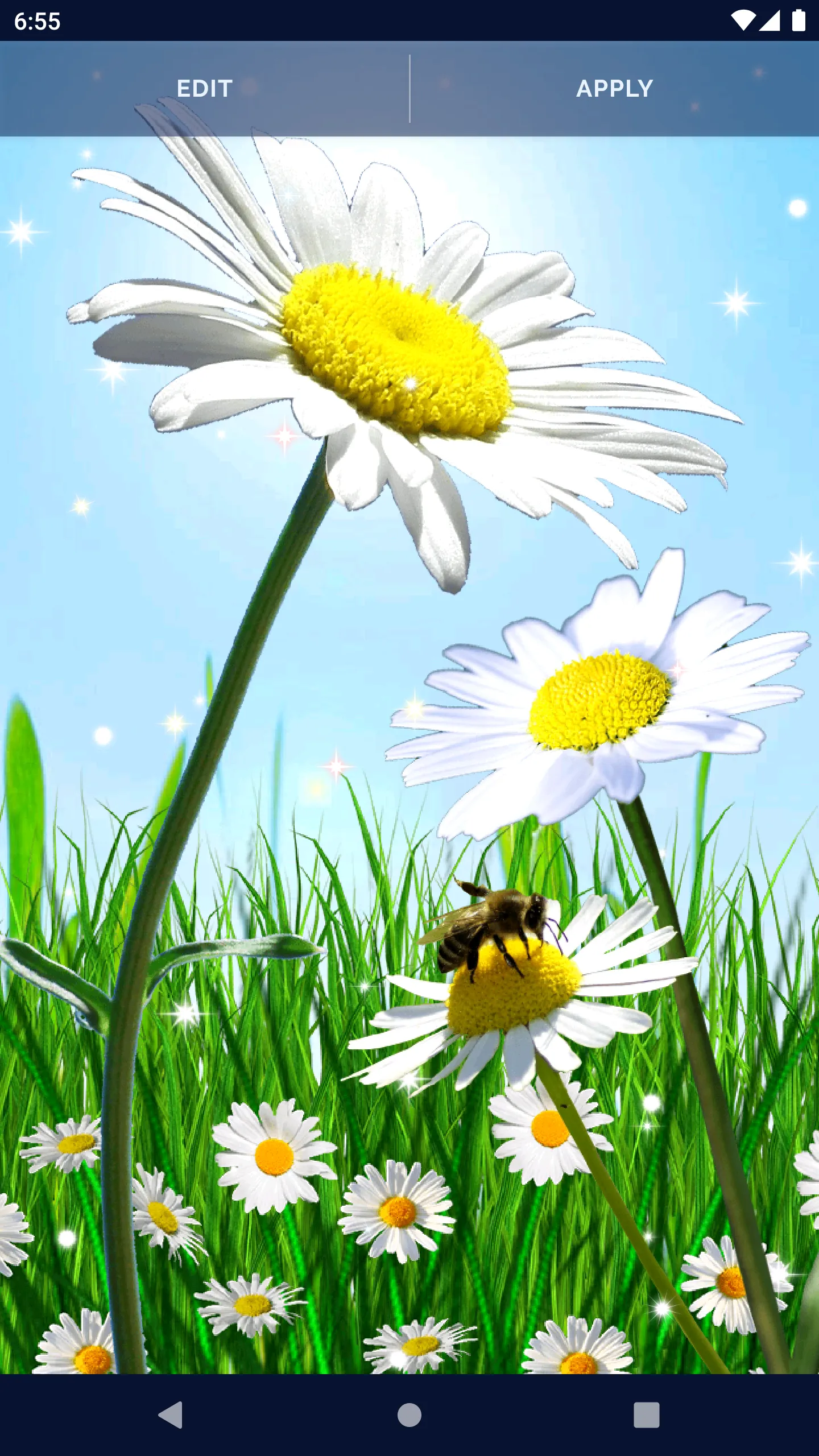 Daisy Parallax Wallpapers | Indus Appstore | Screenshot