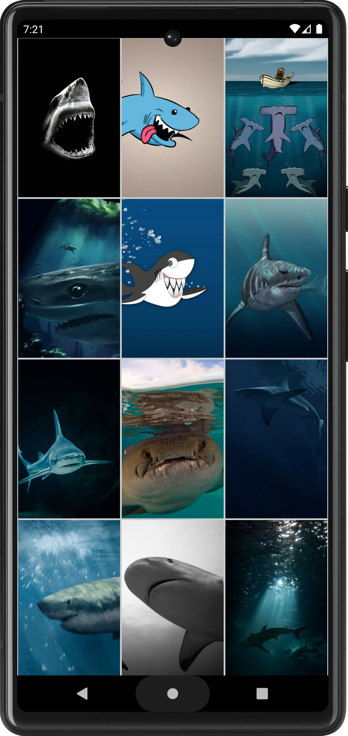 Shark Wallpapers | Indus Appstore | Screenshot