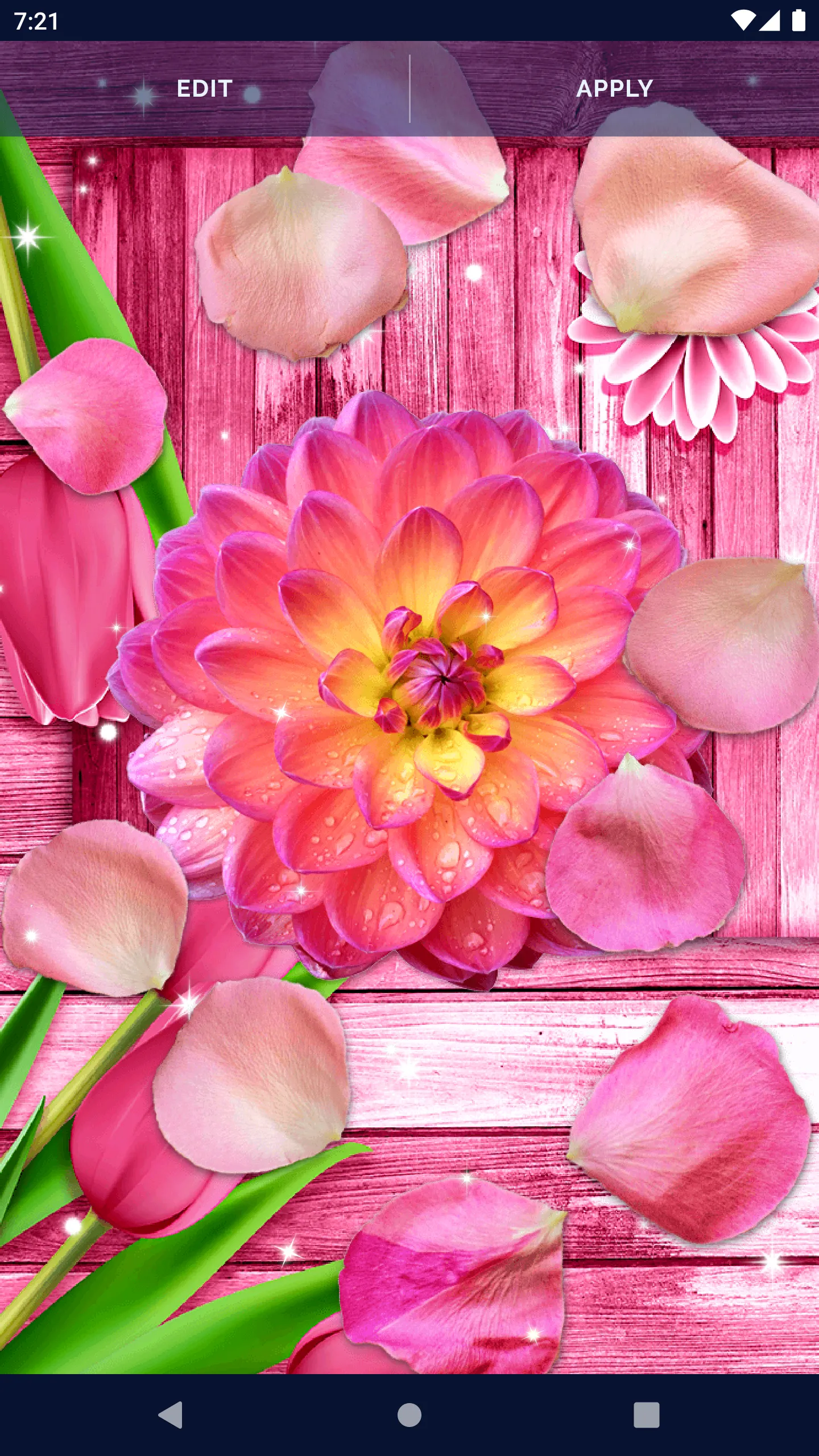 Flower Petals Live Wallpaper | Indus Appstore | Screenshot