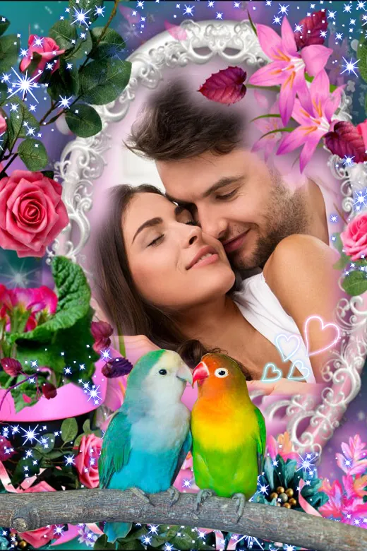 Parrot photo frame | Indus Appstore | Screenshot