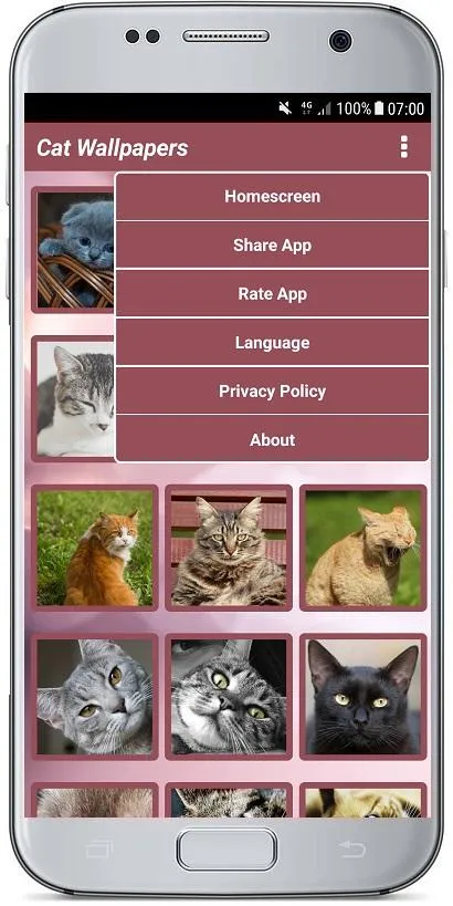 CUTE CAT WALLPAPERS | Indus Appstore | Screenshot