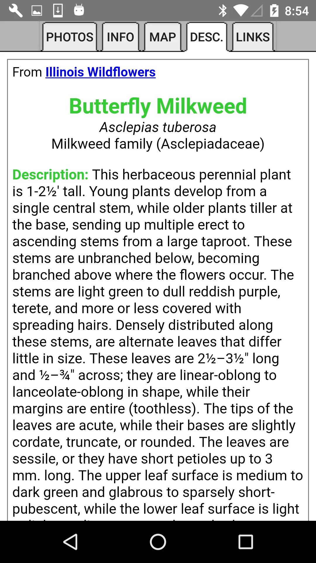 Louisiana Wildflowers | Indus Appstore | Screenshot