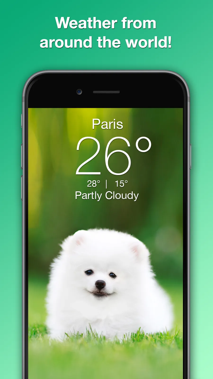 Weather Puppy - App & Widget | Indus Appstore | Screenshot