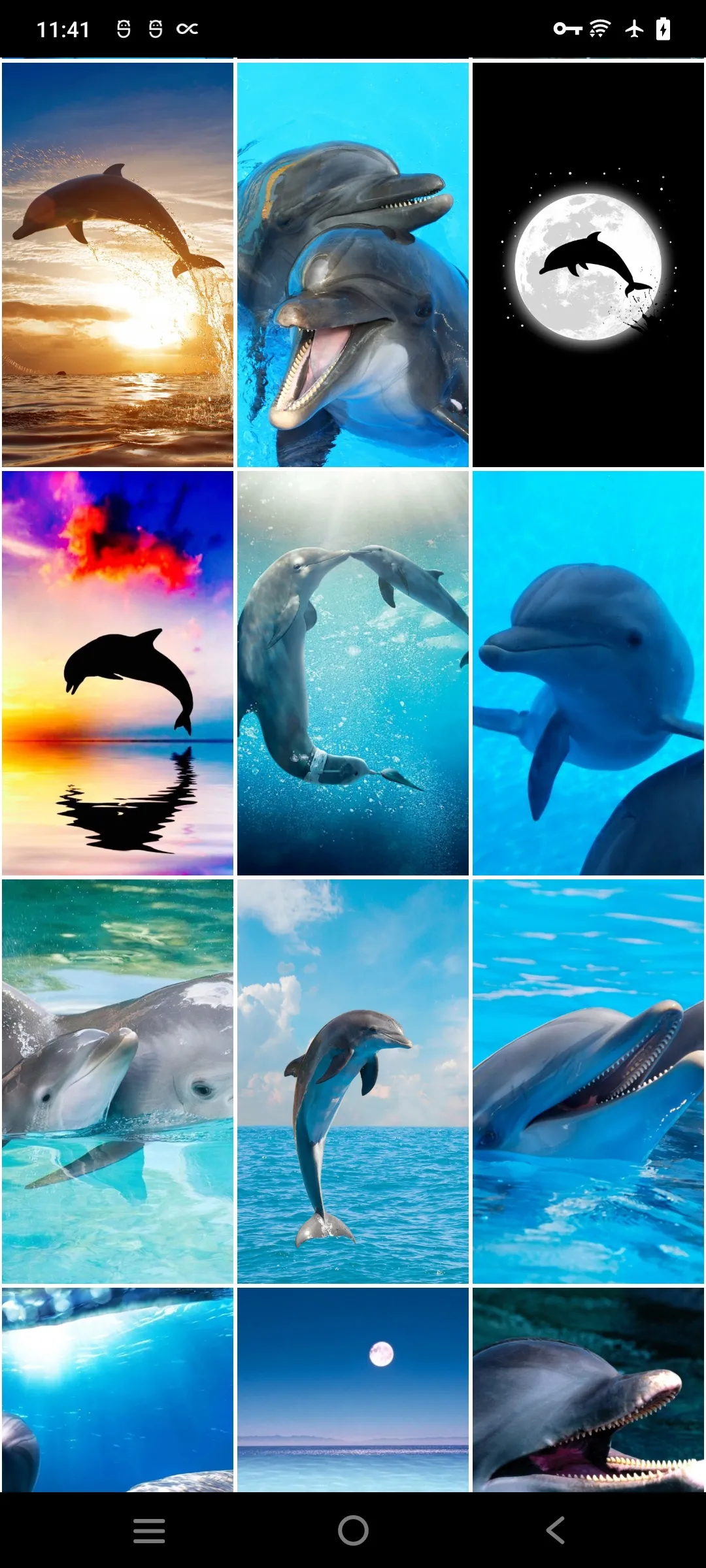 Dolphin Wallpapers | Indus Appstore | Screenshot