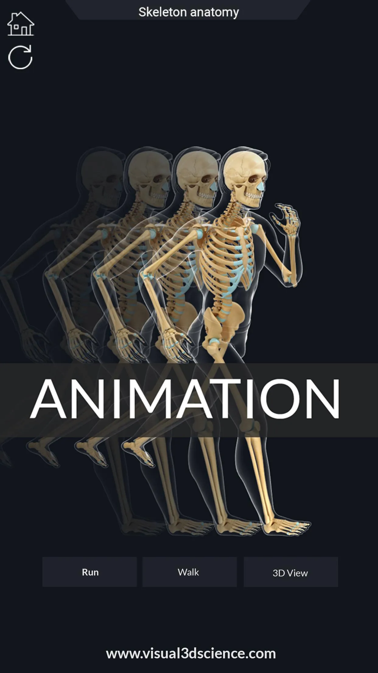 Skeleton Anatomy Pro. | Indus Appstore | Screenshot