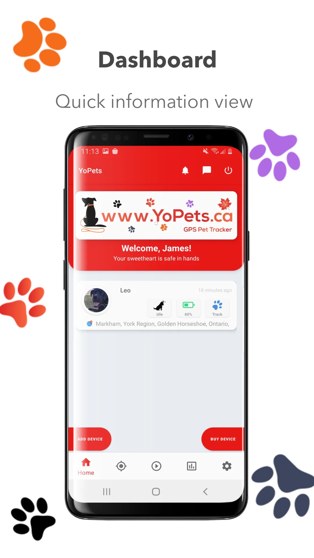 YoPets | Indus Appstore | Screenshot