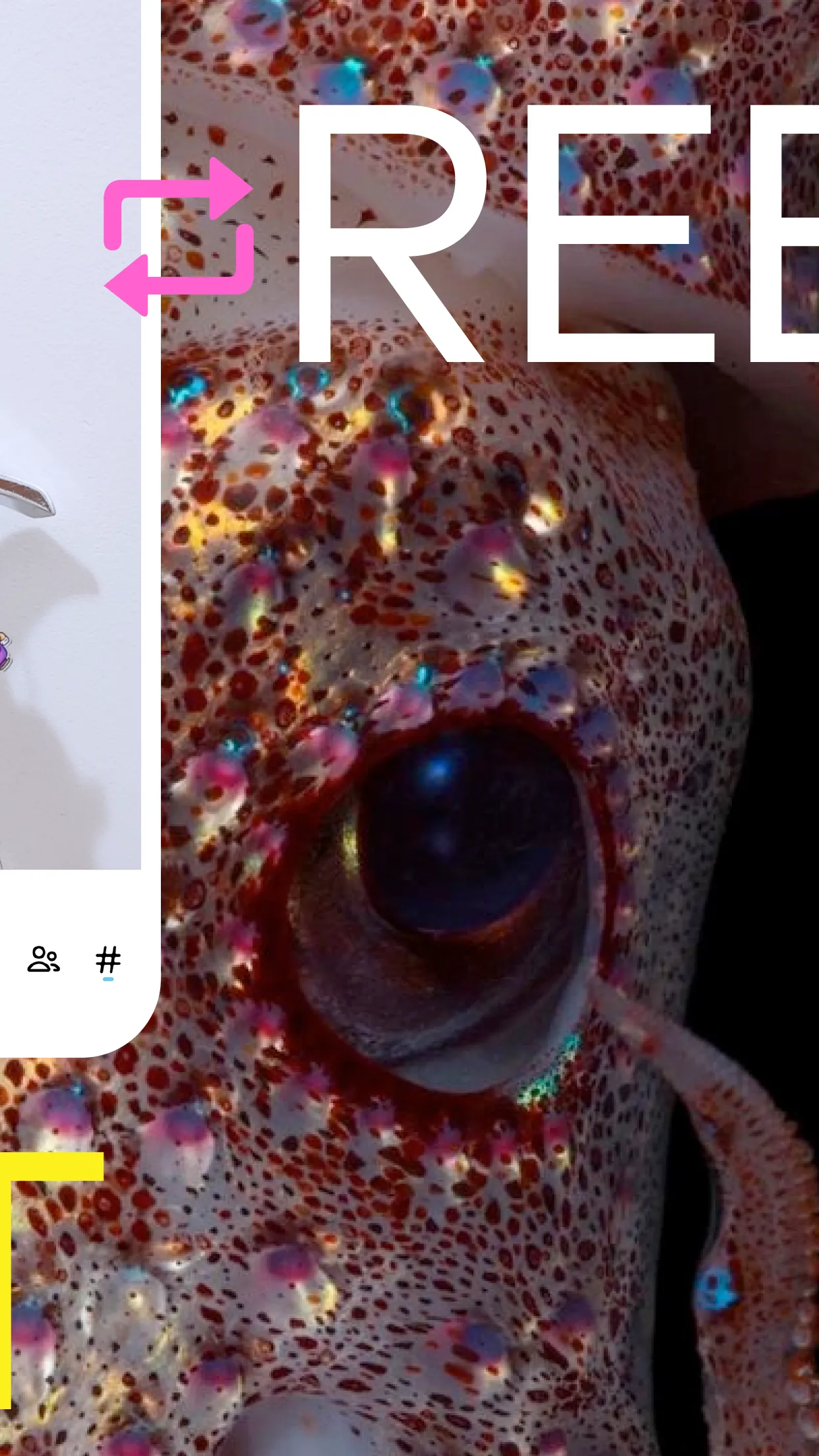 Tumblr—Fandom, Art, Chaos | Indus Appstore | Screenshot