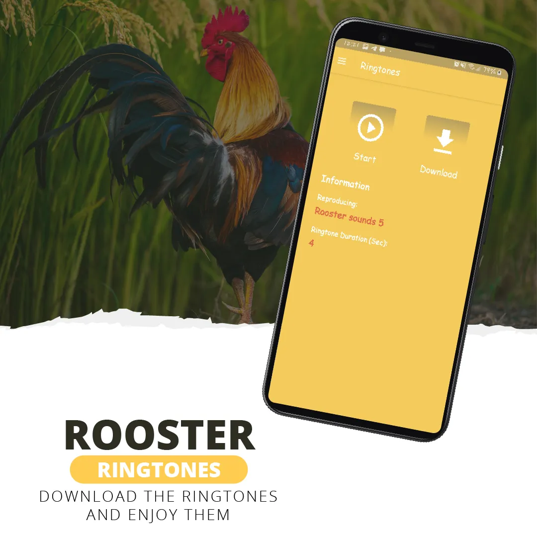 Rooster ringtones | Indus Appstore | Screenshot