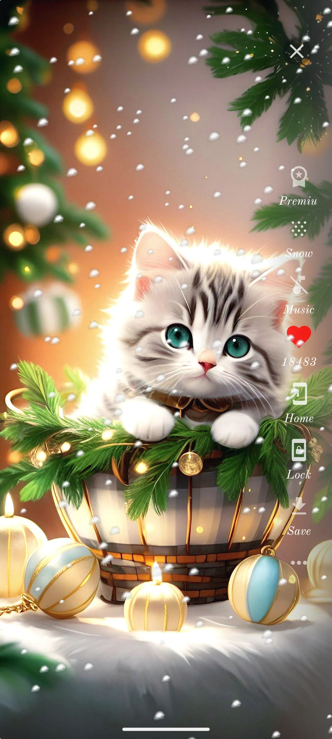 Cute Cat Wallpaper HD | Indus Appstore | Screenshot