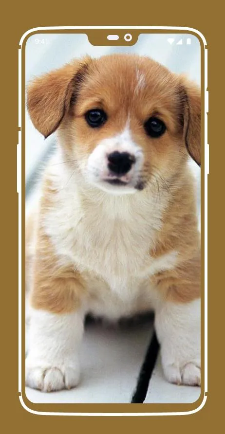 Cute Puppy Wallpapers | Indus Appstore | Screenshot