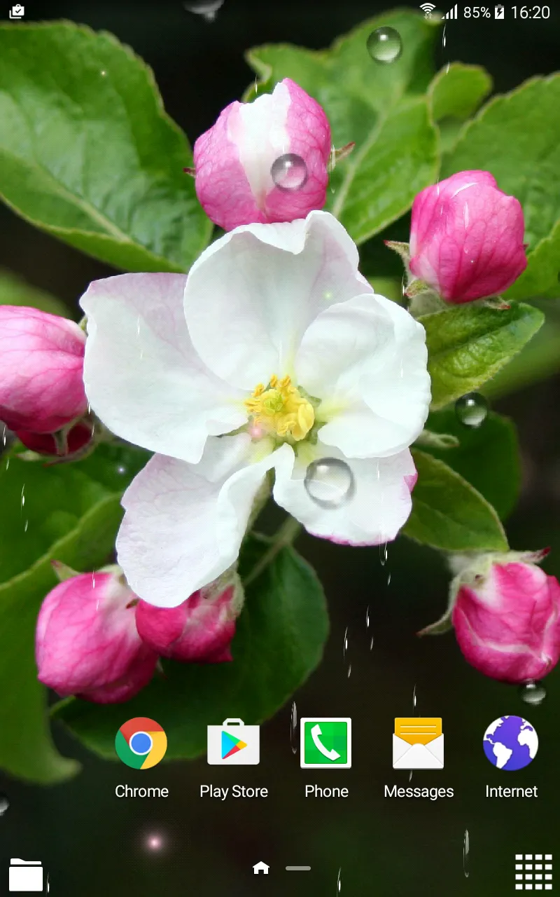 Springtime Live Wallpaper | Indus Appstore | Screenshot