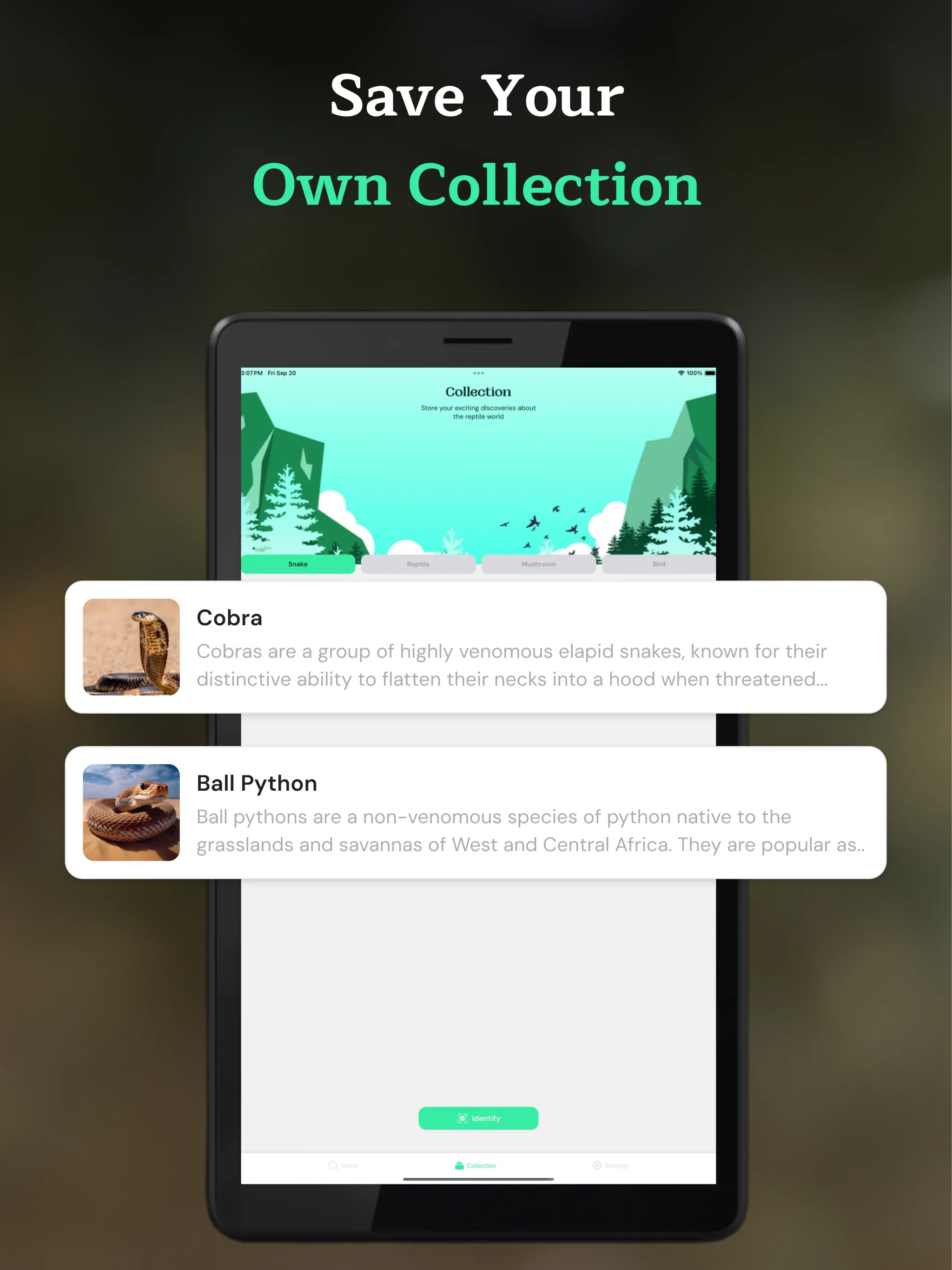 Snake Identifier AI Scanner | Indus Appstore | Screenshot