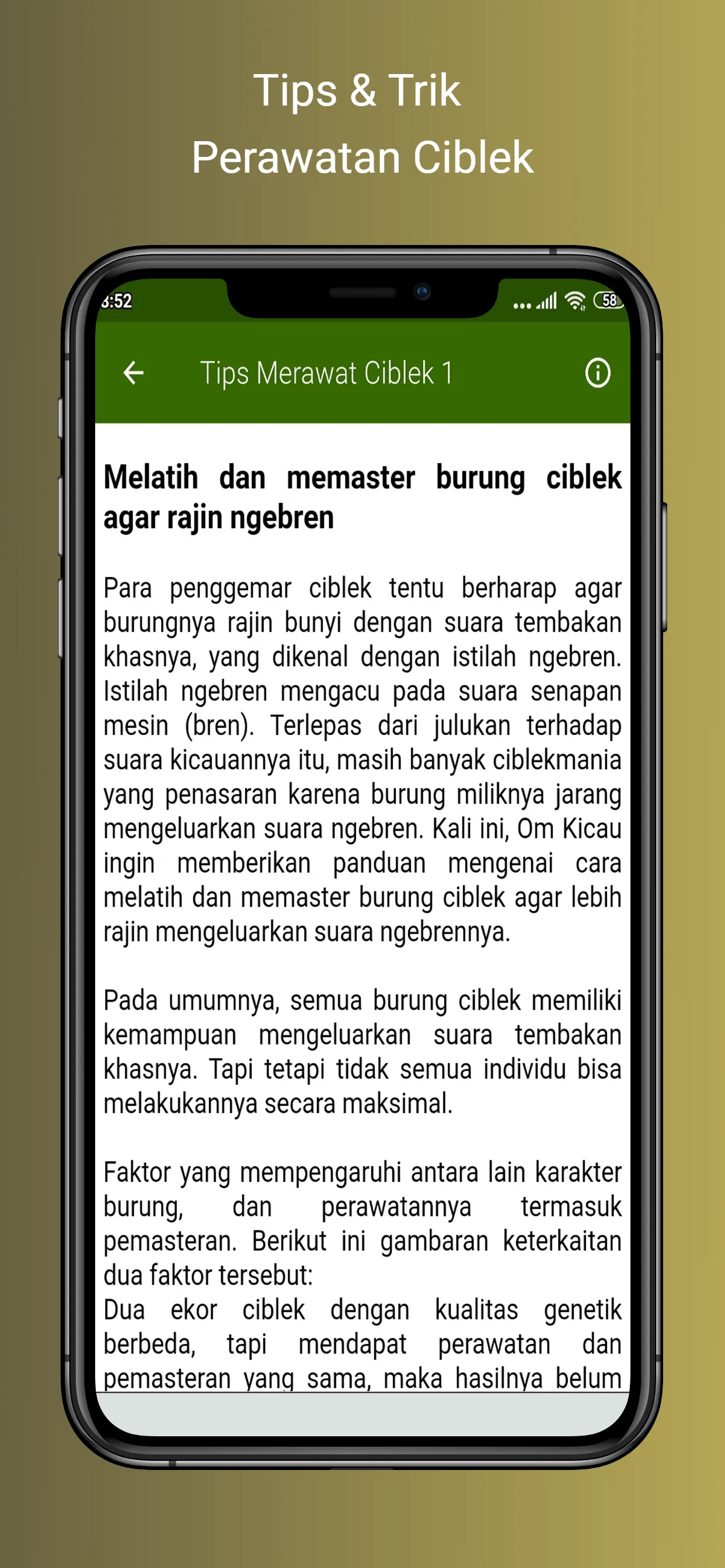 Masteran Ciblek Ngebren | Indus Appstore | Screenshot