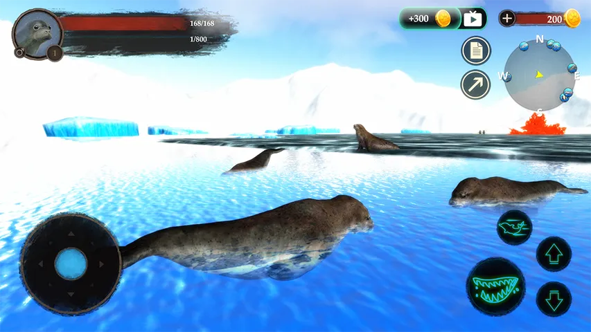 The Seal | Indus Appstore | Screenshot