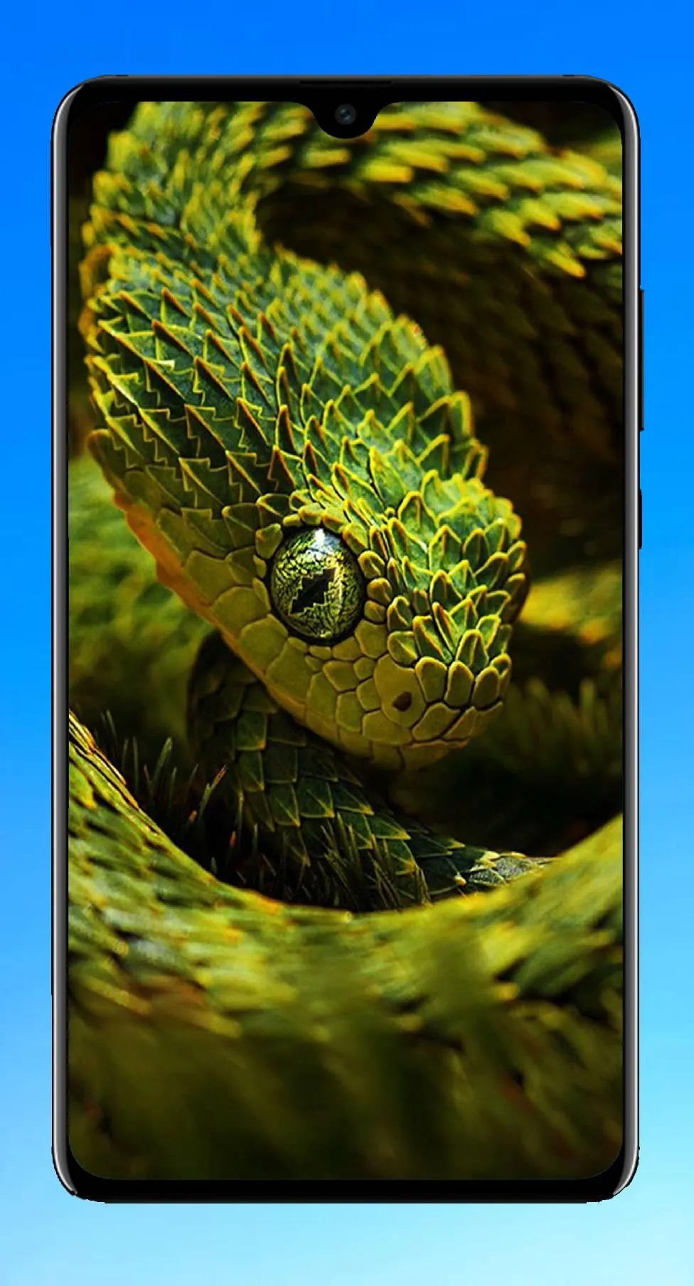 Snake Wallpaper 4K | Indus Appstore | Screenshot