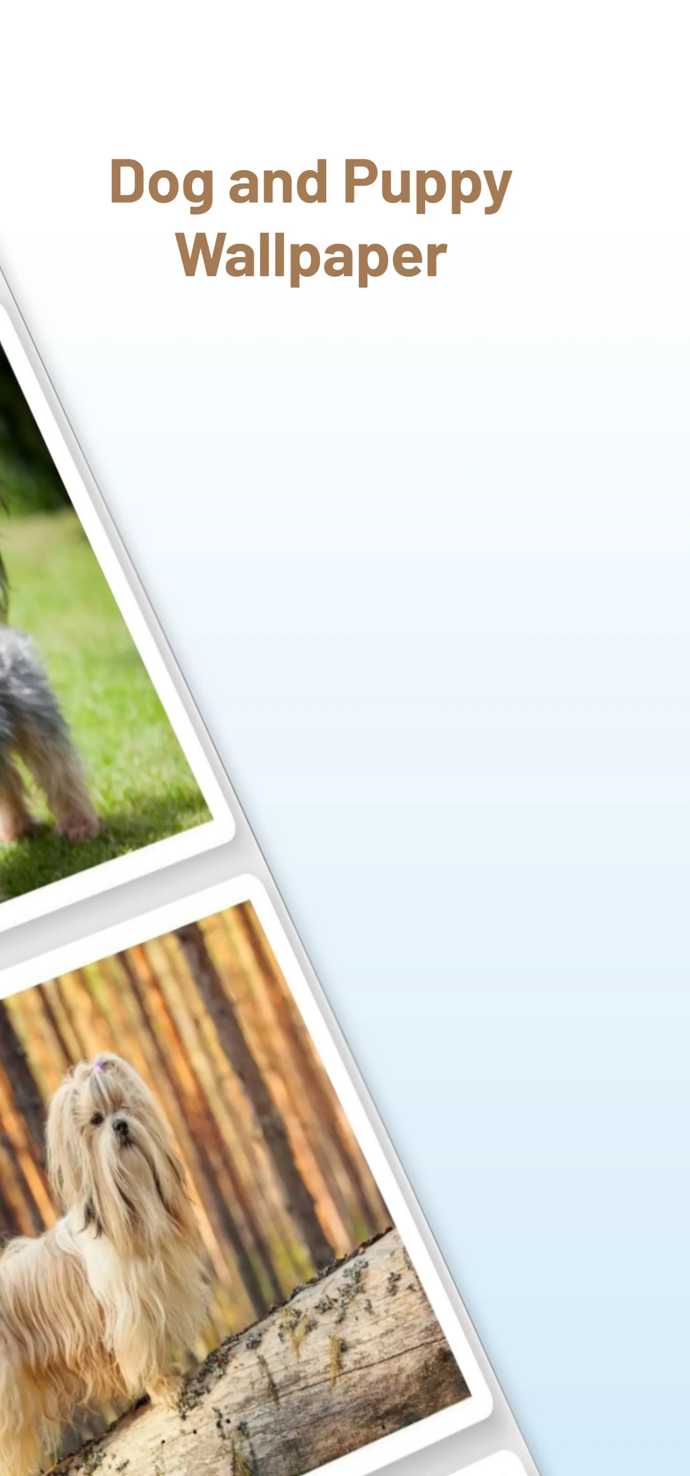 Dog and Puppy Wallpaper | Indus Appstore | Screenshot