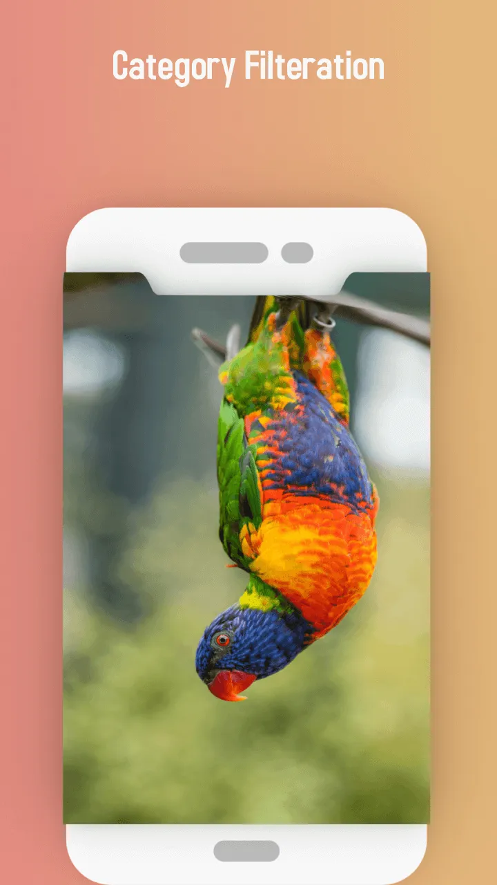 Love bird Live wallpaper | Indus Appstore | Screenshot