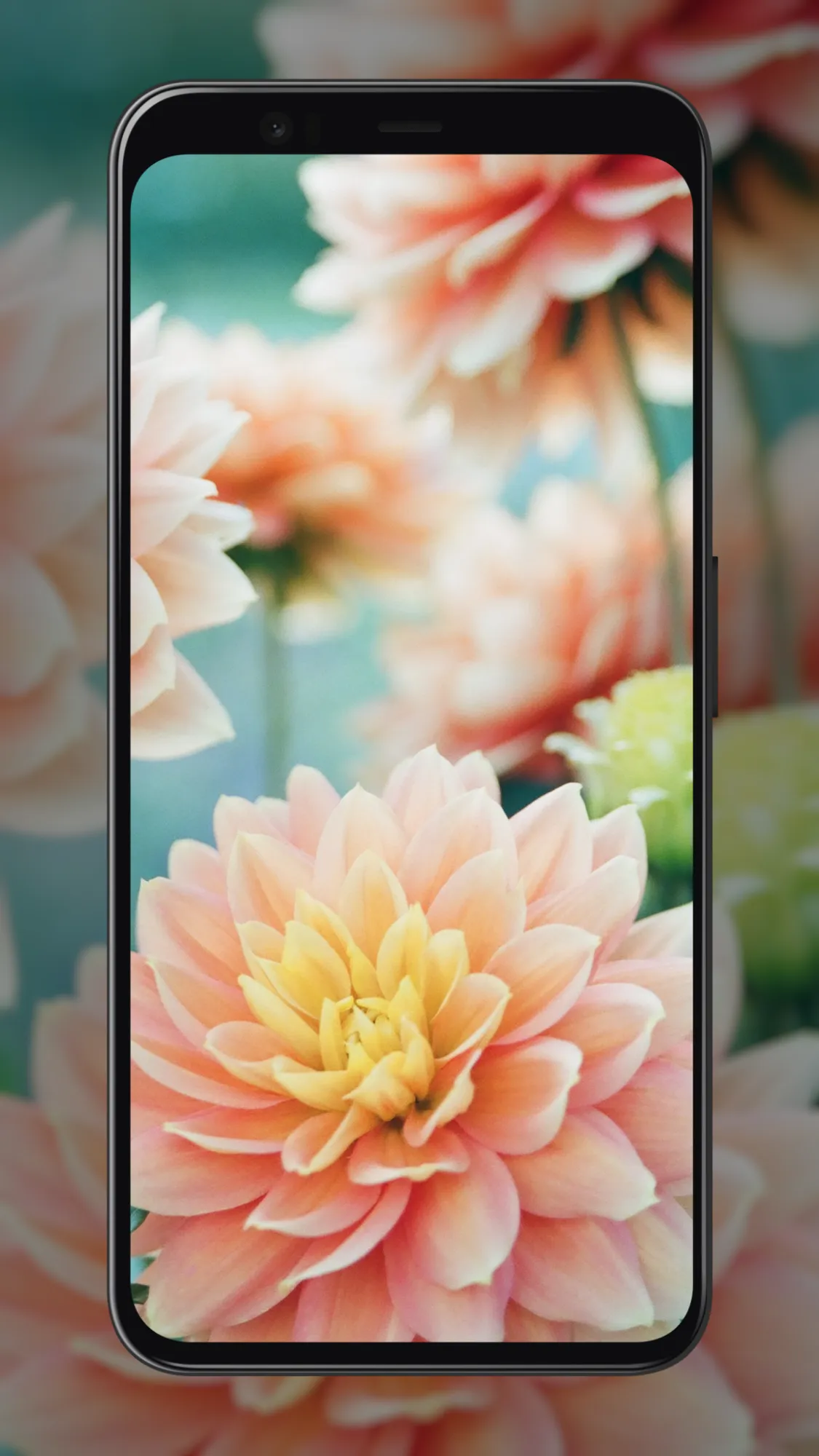 Pastel Wallpapers | Indus Appstore | Screenshot