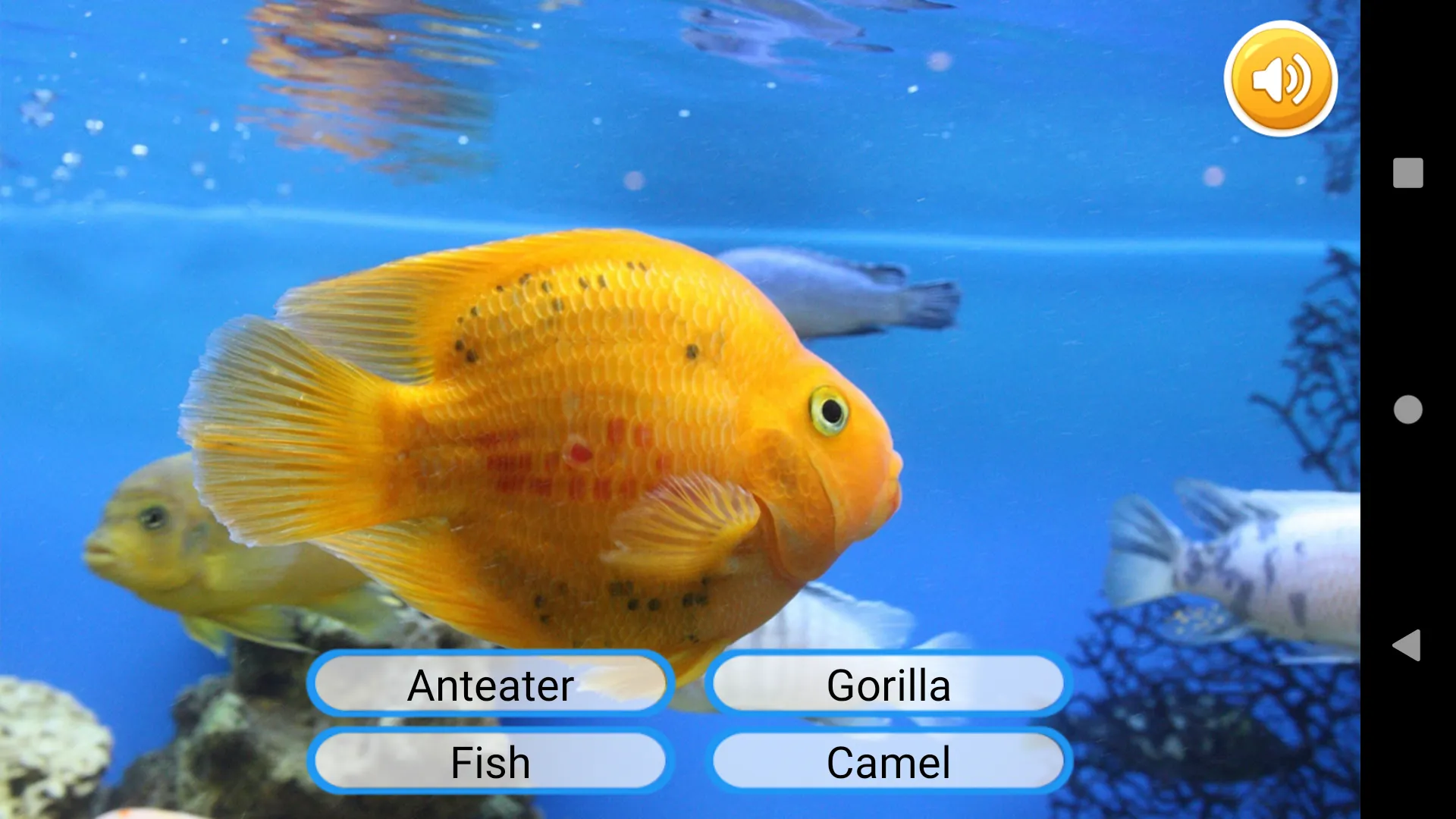 Animals Learning | Indus Appstore | Screenshot