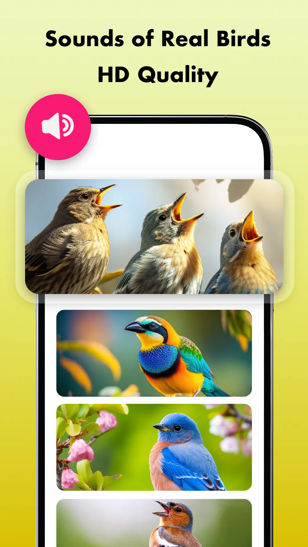 Bird Sounds, Calls & Ringtones | Indus Appstore | Screenshot