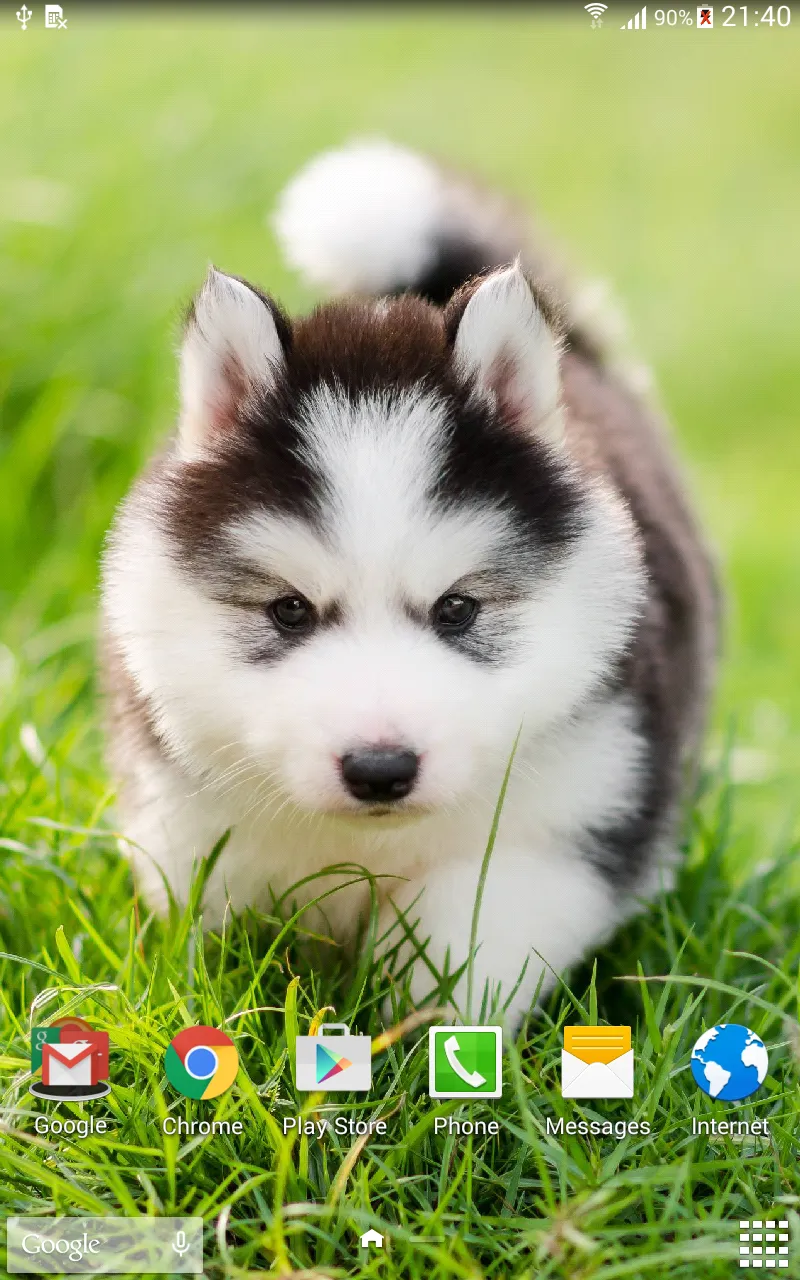 Cute Puppies Live Wallpaper | Indus Appstore | Screenshot