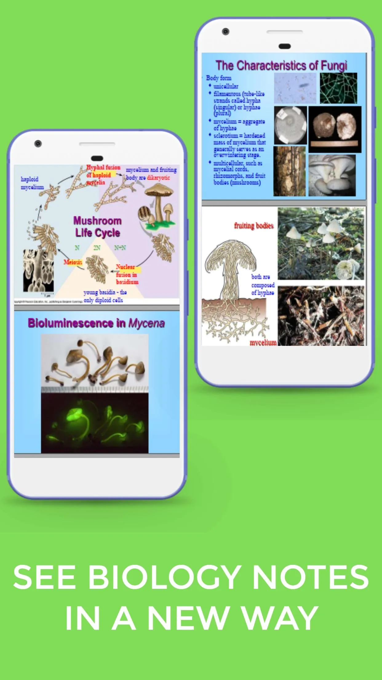 Biology Form 3 Notes +Diagrams | Indus Appstore | Screenshot